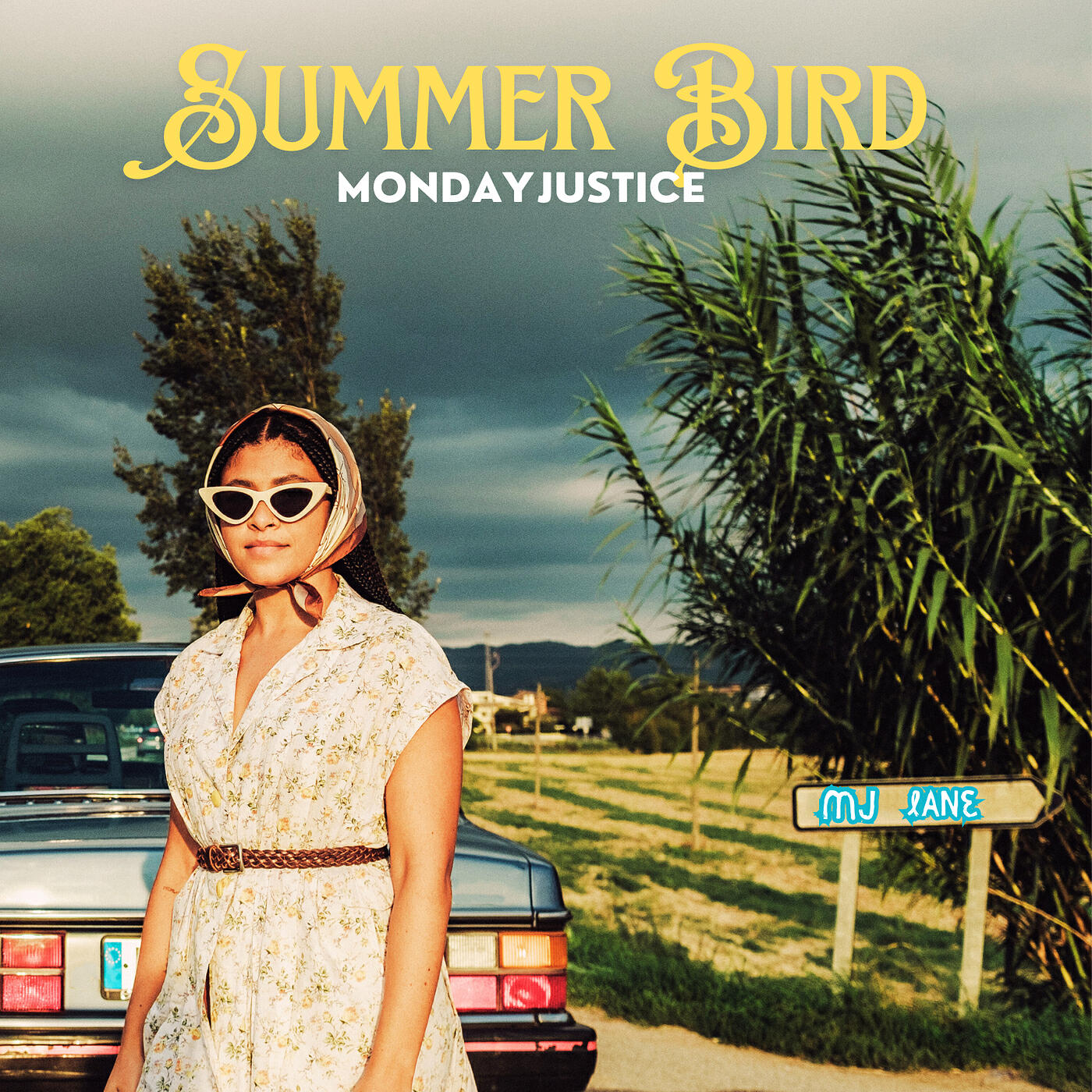 Релиз Summer Bird
