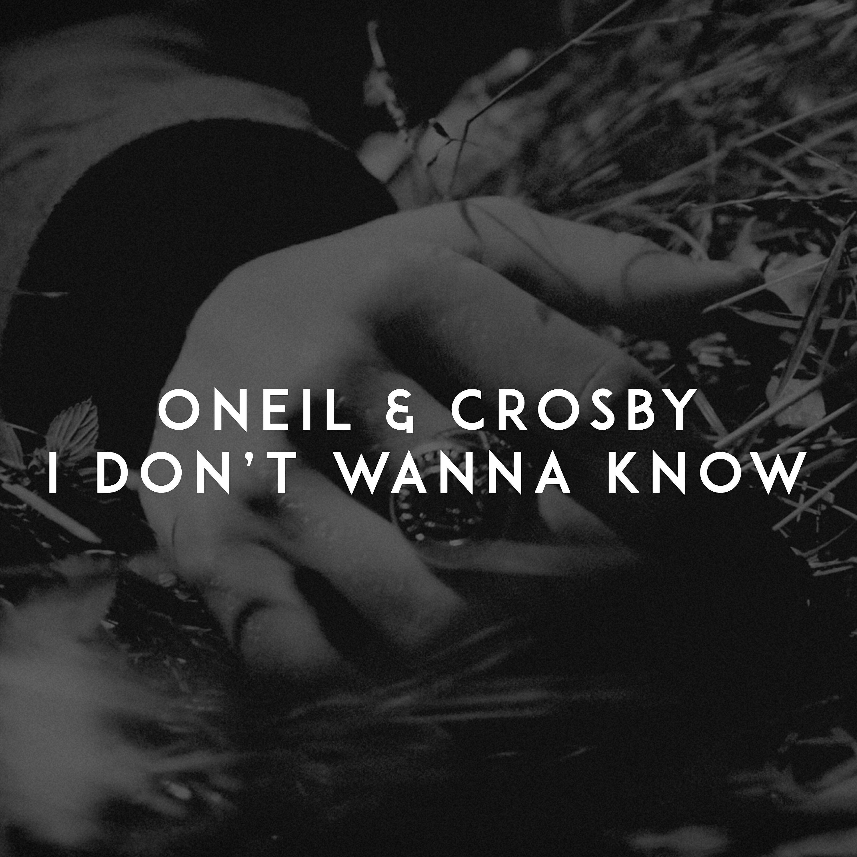 Релиз I Don't Wanna Know