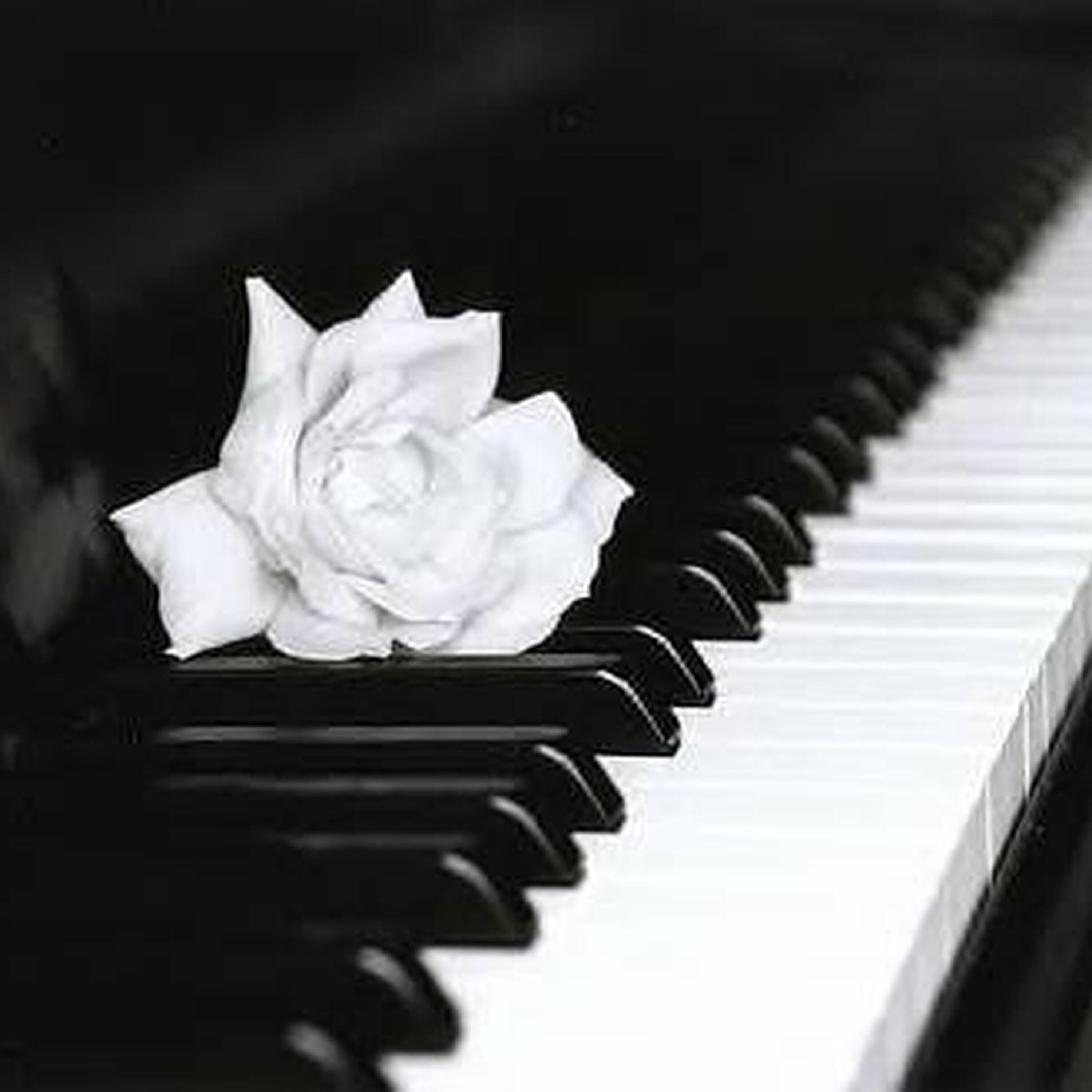 Релиз Piano - Greatest Hits 2