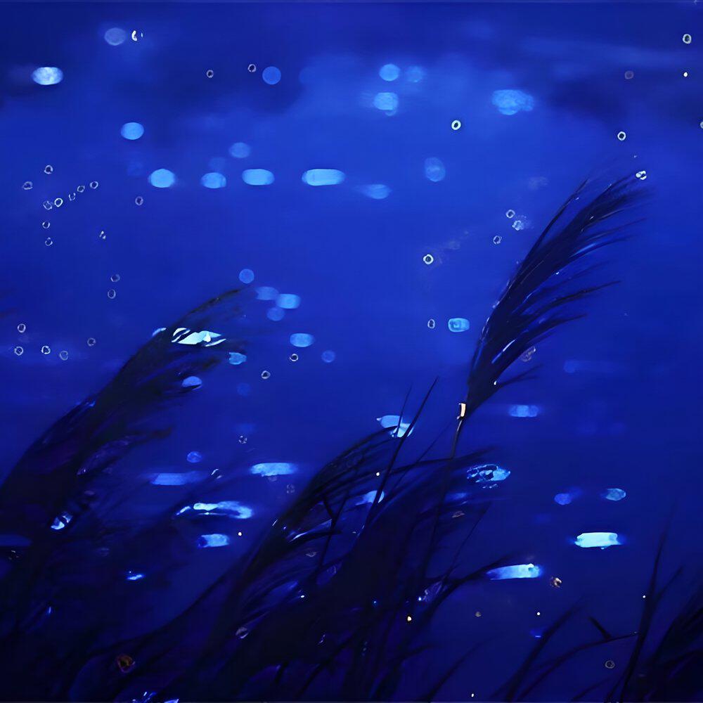 Релиз the sound of rain