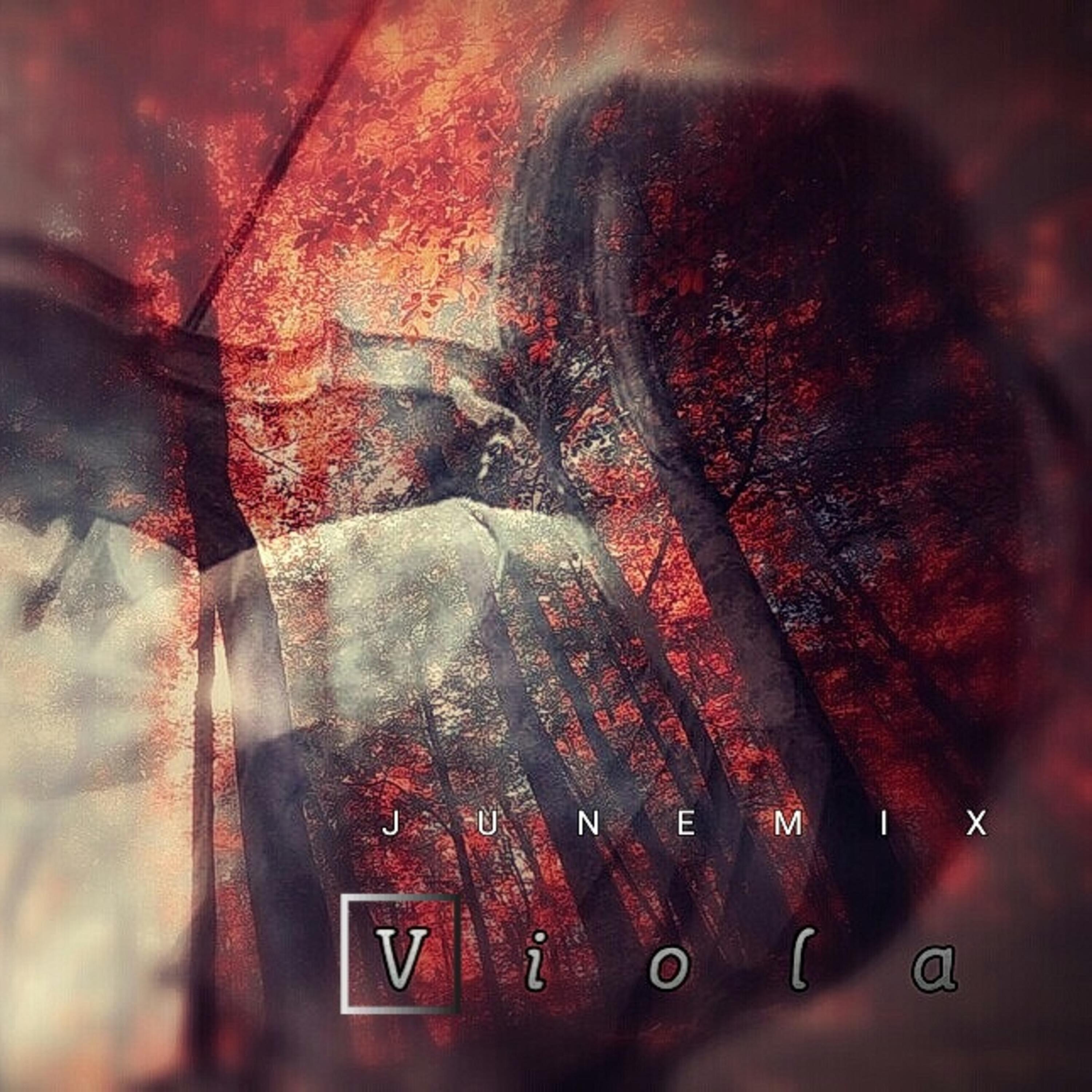 Релиз Viola