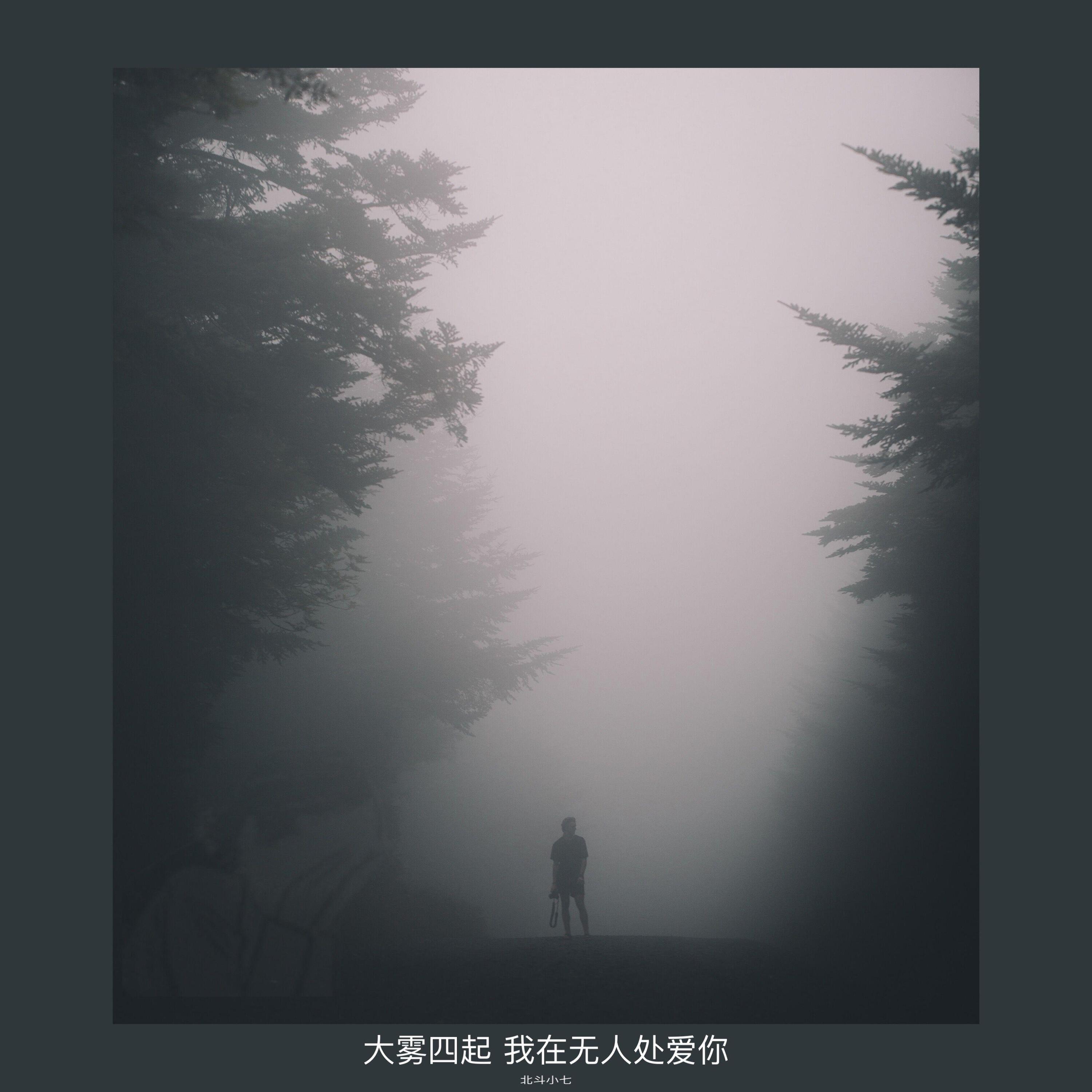 Трек 大雾四起 我在无人处爱你