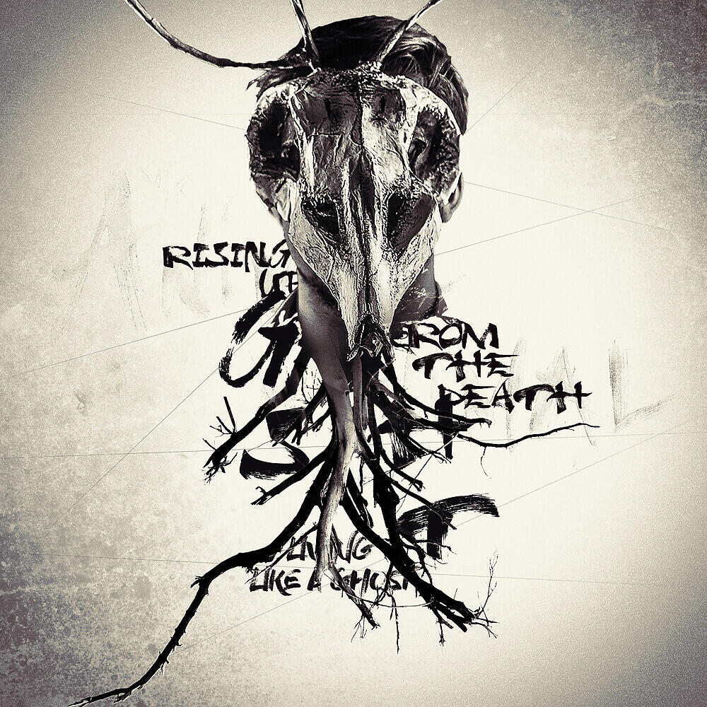Релиз Ghost