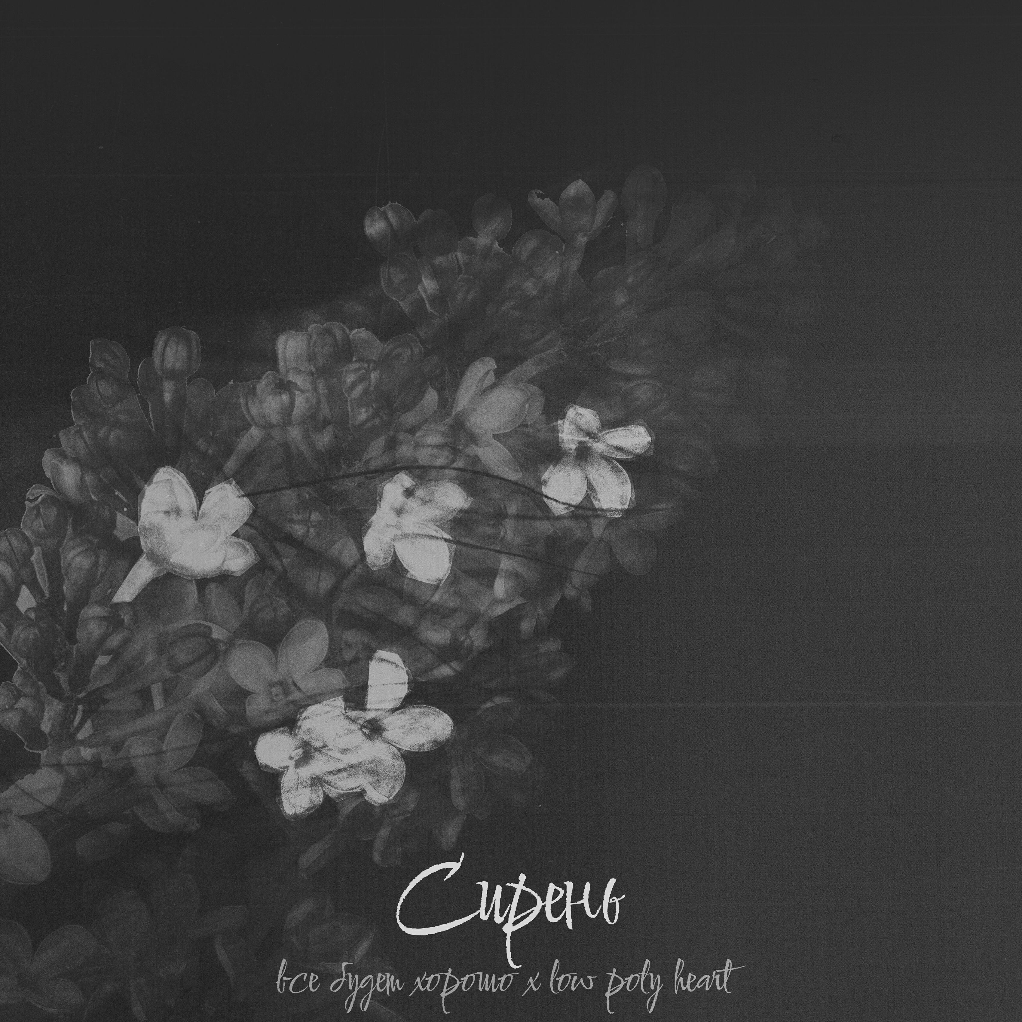 Релиз Сирень