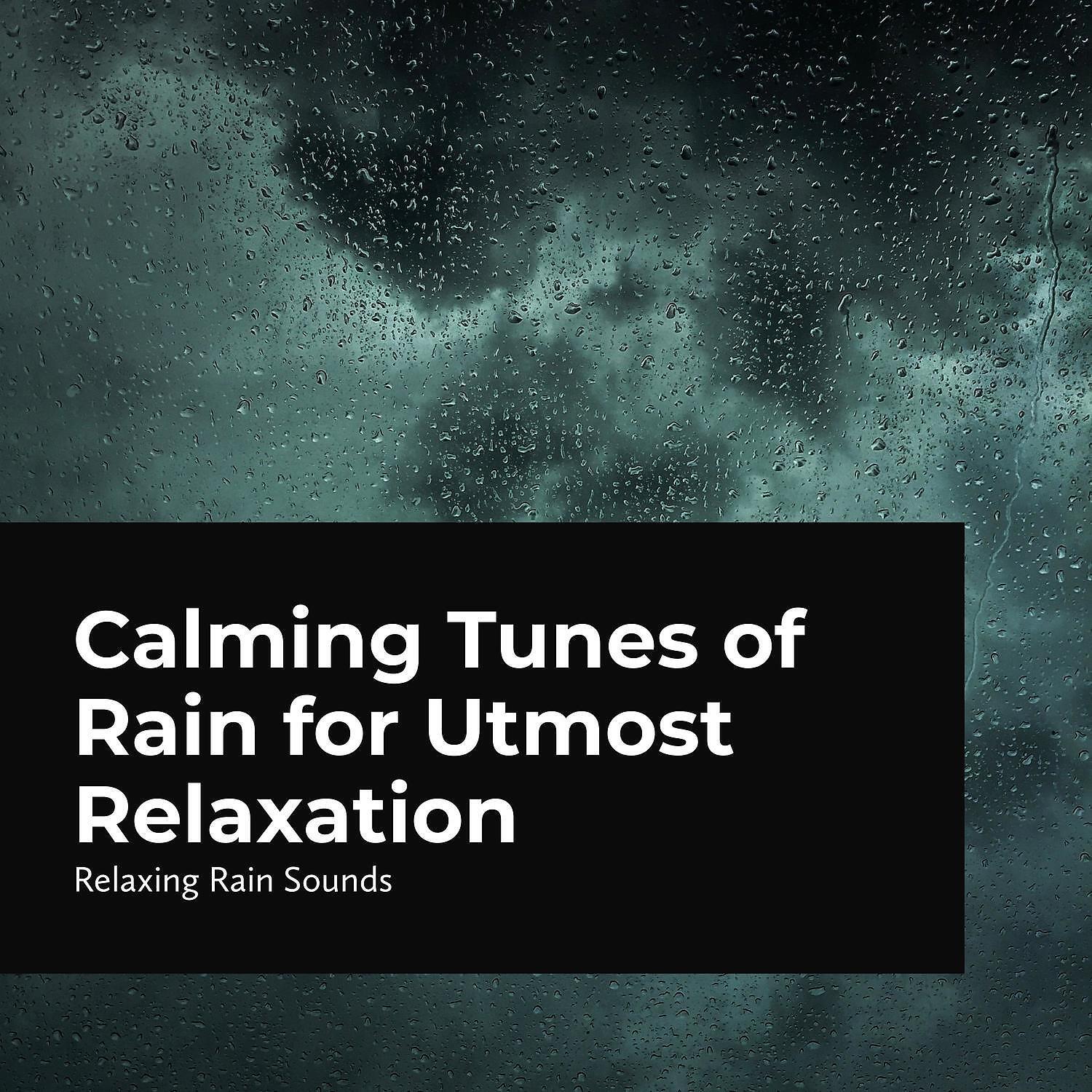 Релиз Calming Tunes of Rain for Utmost Relaxation