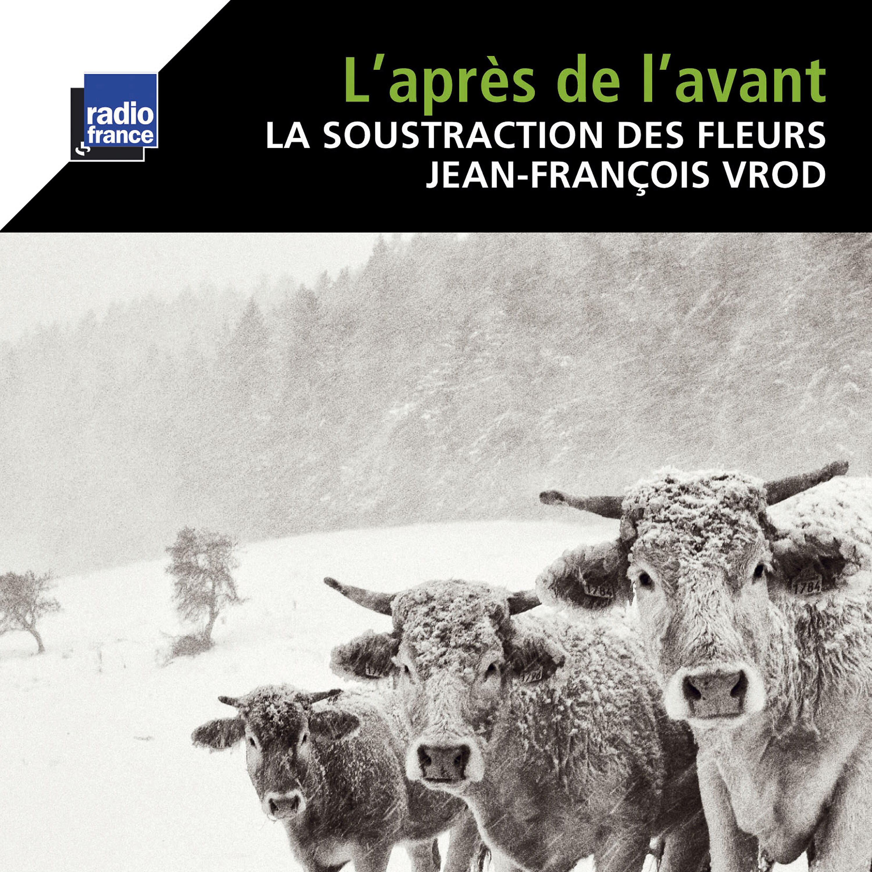 Релиз Vrod: L'après de l'avant