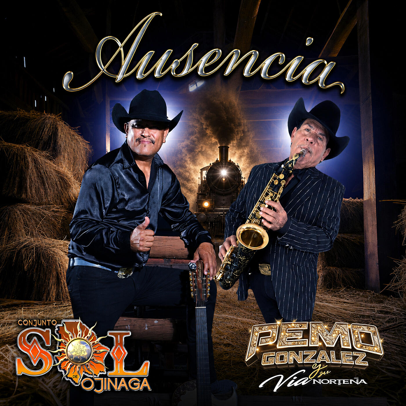 CONJUNTO SOL DE OJINAGA