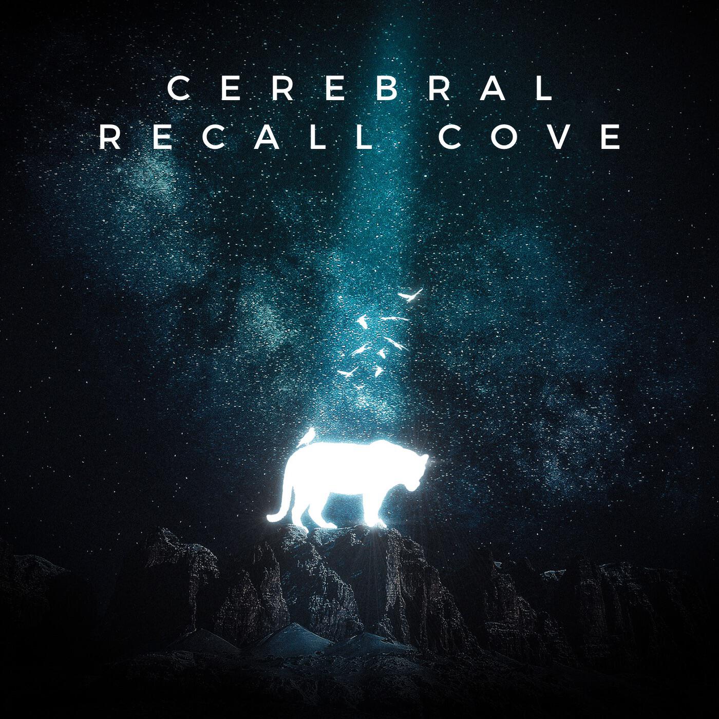 Релиз Cerebral Recall cove