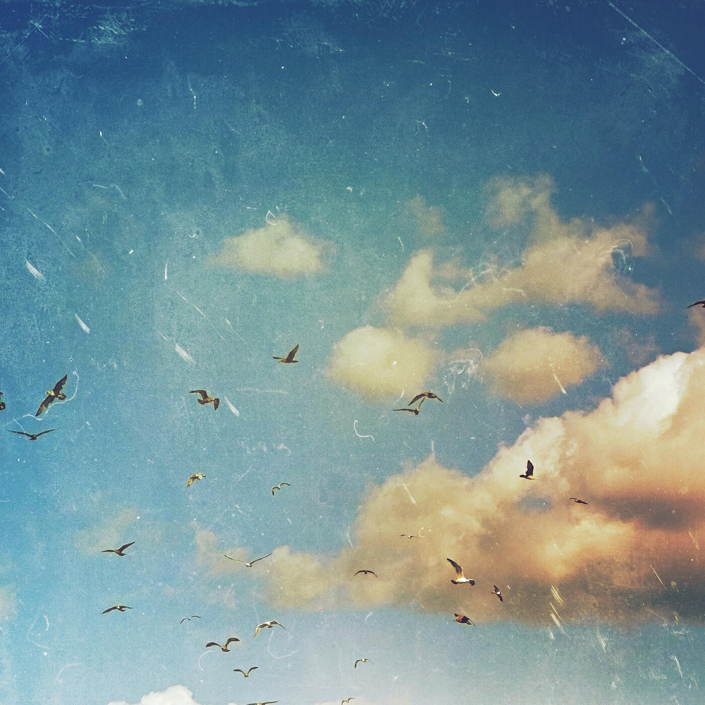 Релиз Lightness