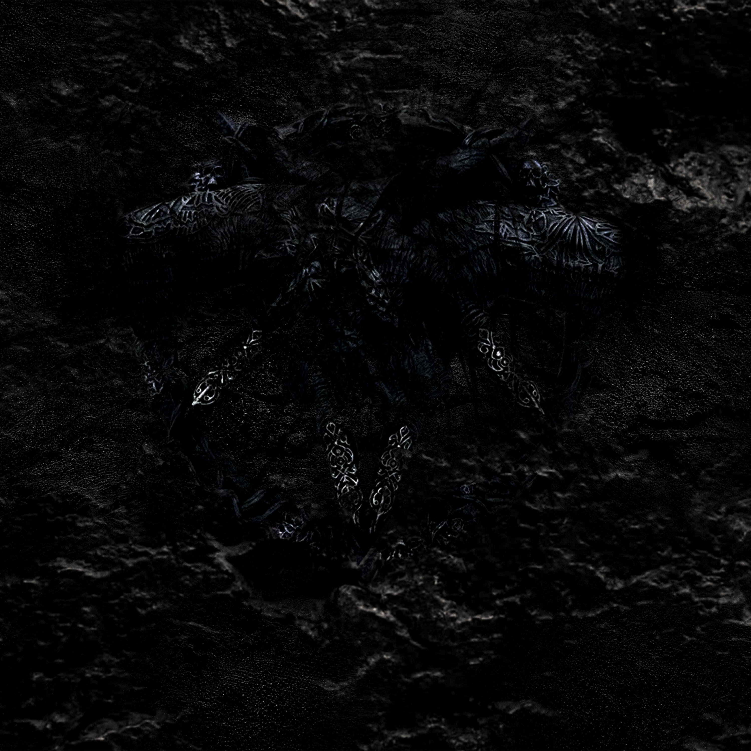Релиз Awakening