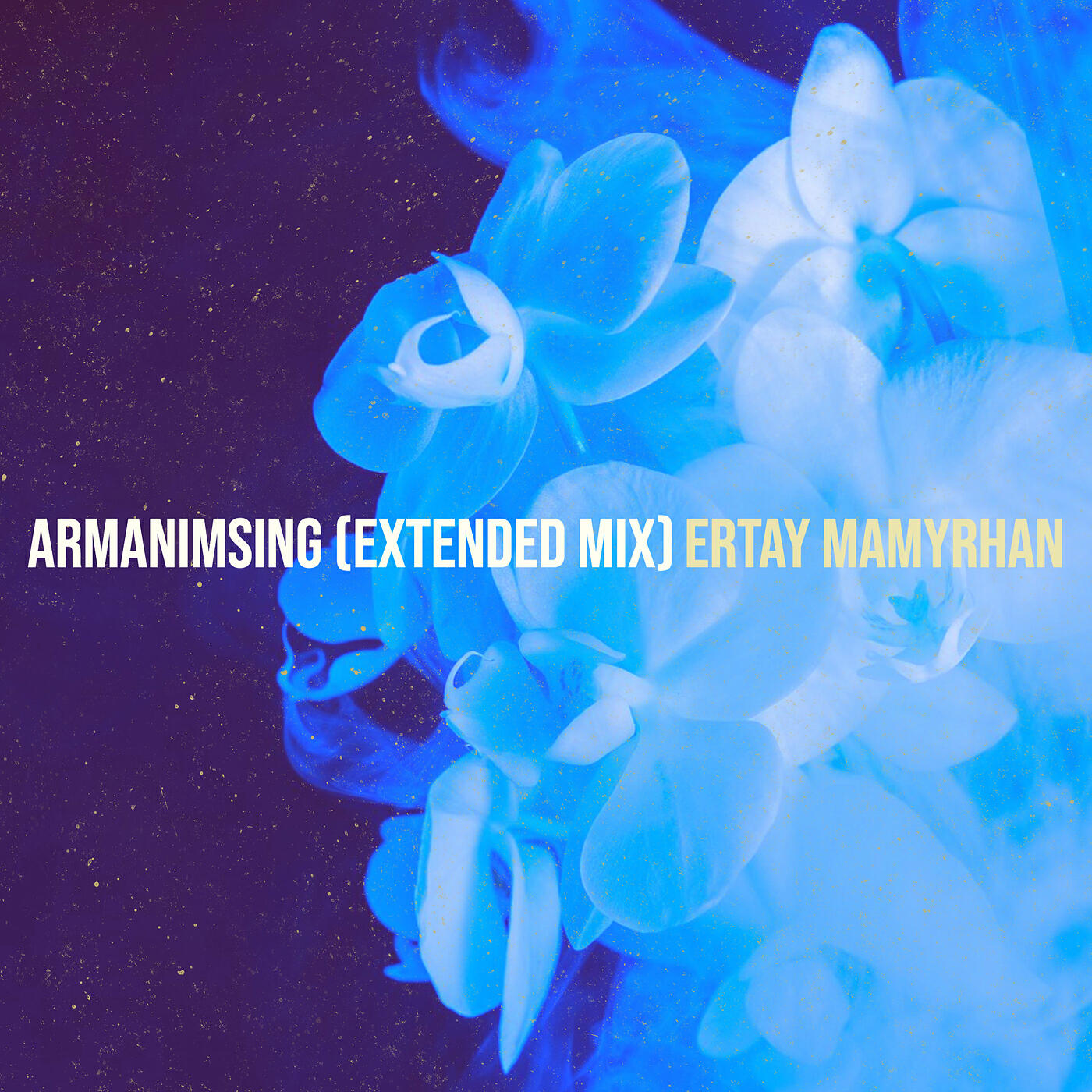 Релиз Armanimsing (Extended Mix)