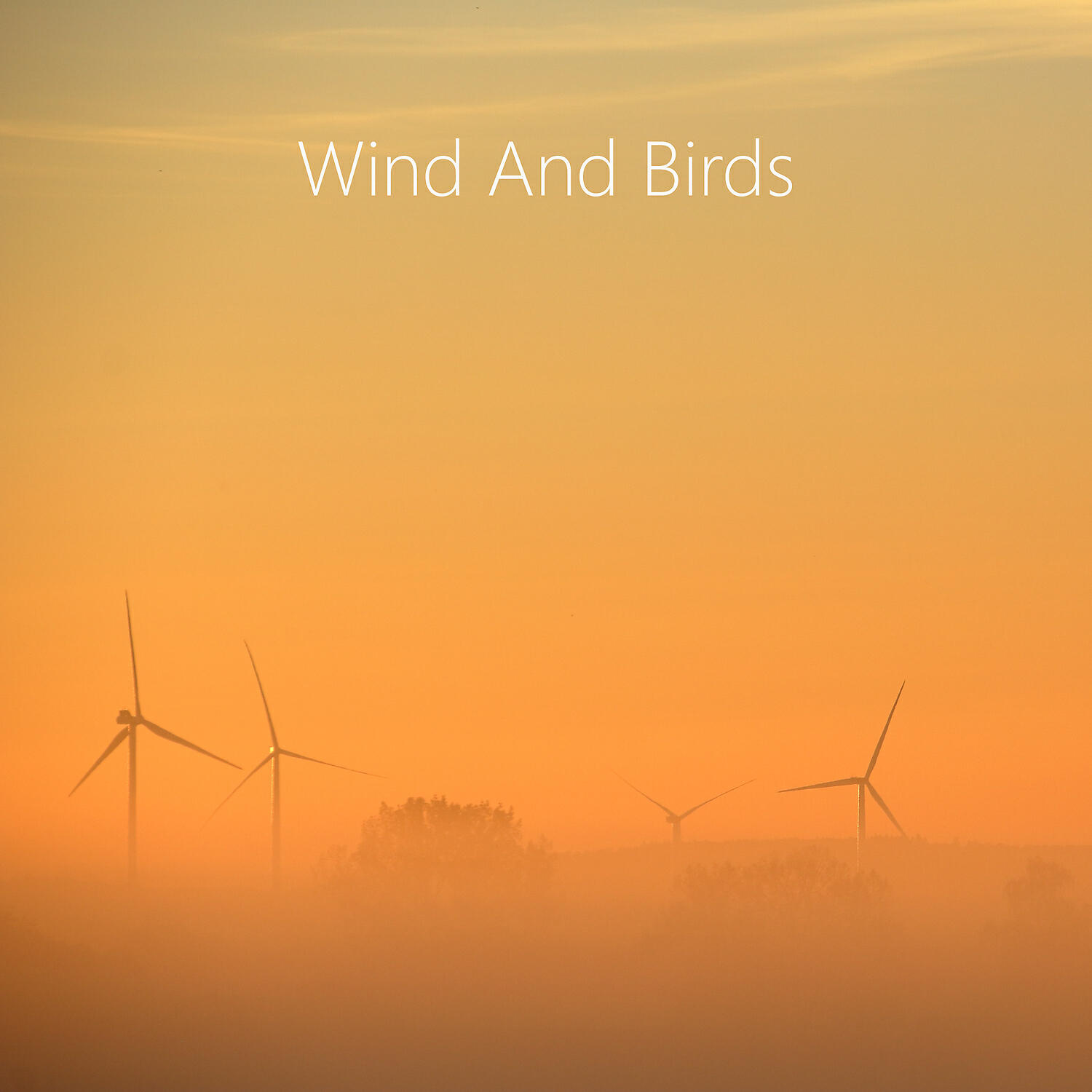 Релиз Sleeping Drone Nature Sounds. Wind, Water and Birds Music.