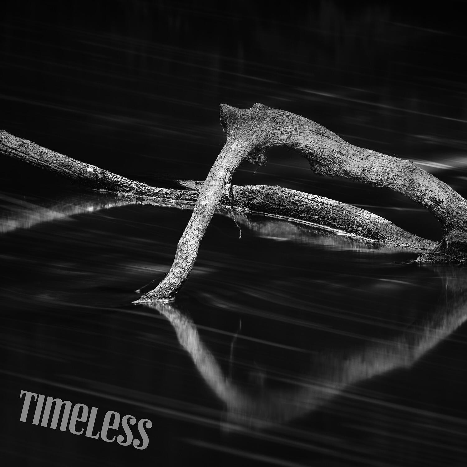 Релиз Timeless