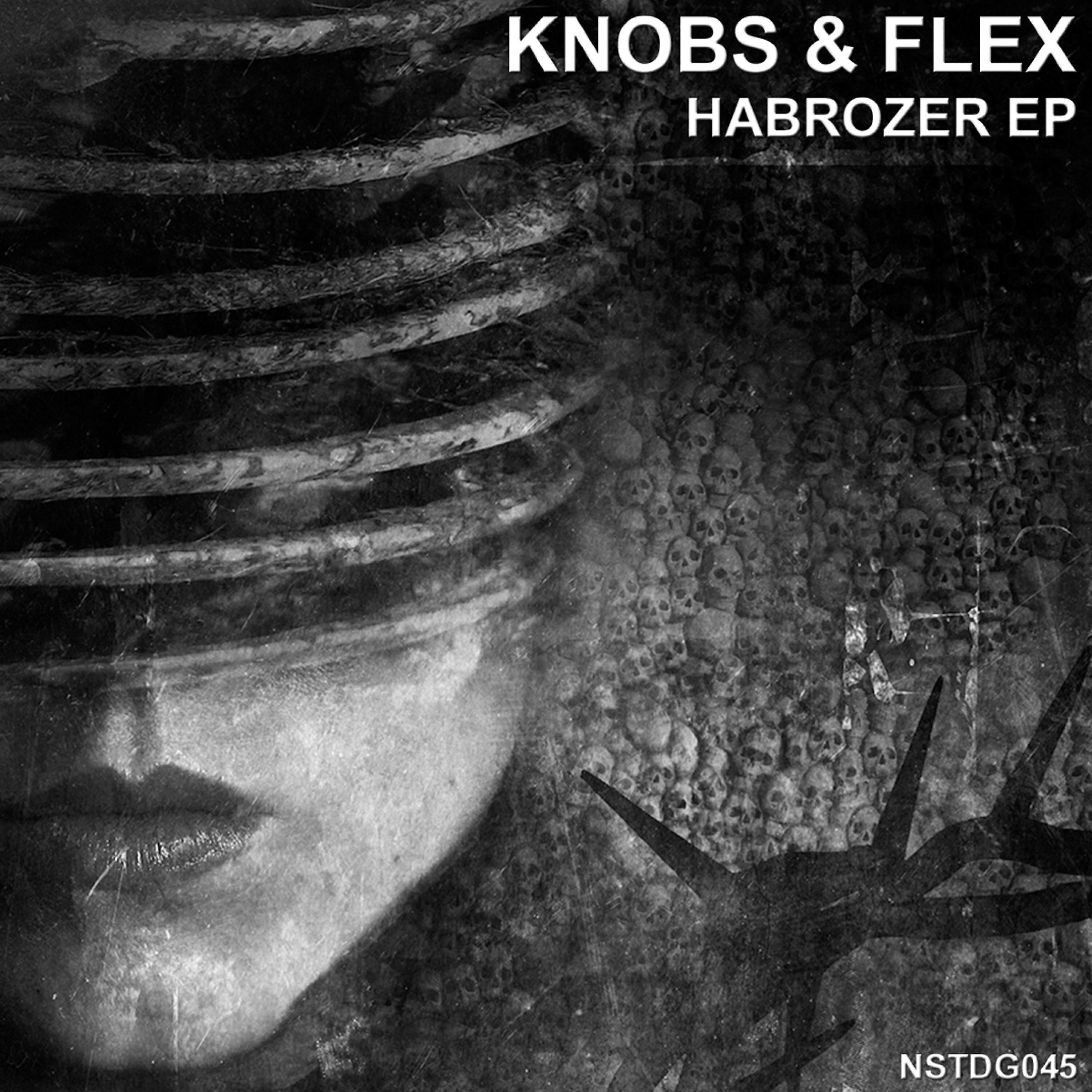 Скачать песню Knobs, Flex - Habrozer (Knobs Edit) бесплатно в MP3 для Android и iOS