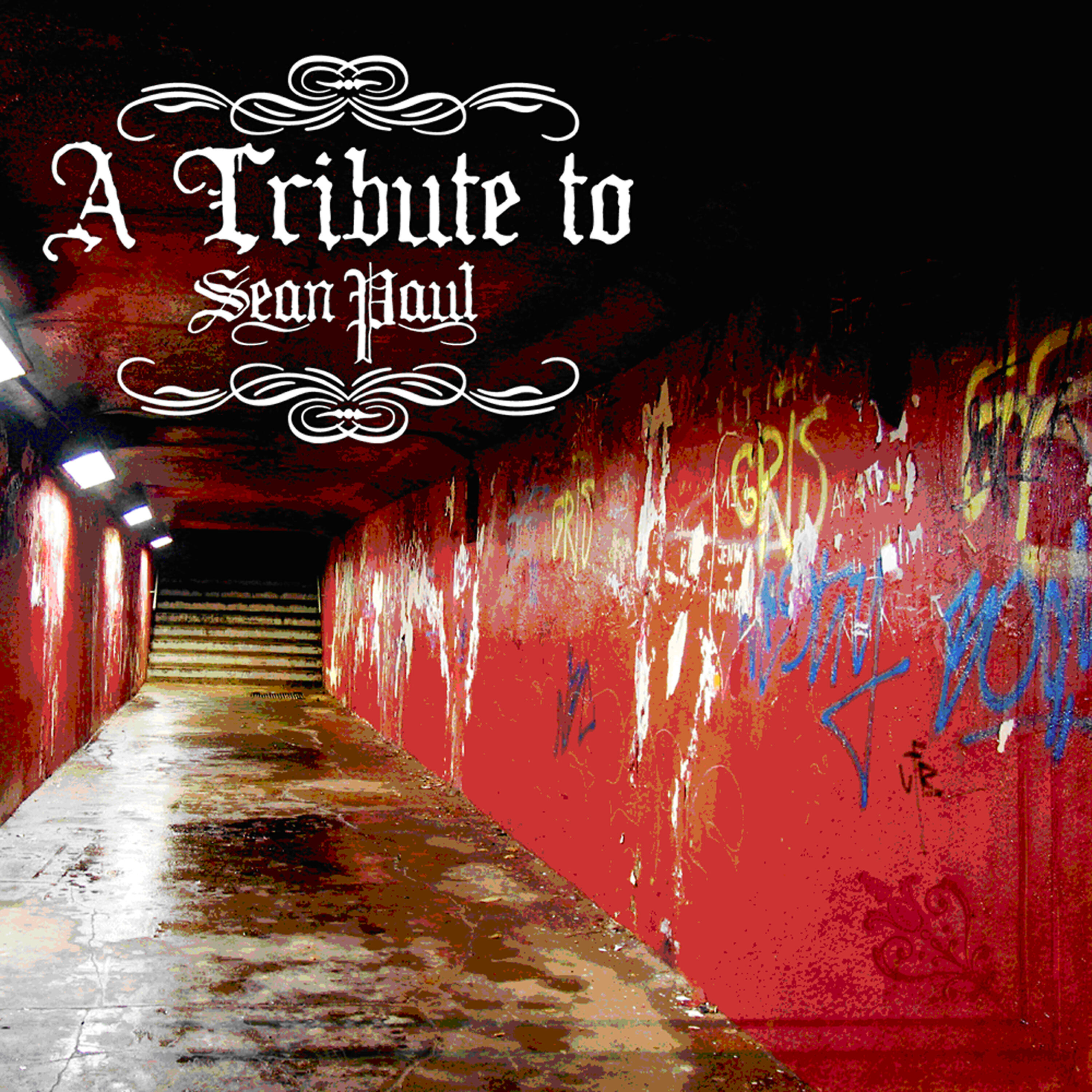 Релиз A Tribute To Sean Paul