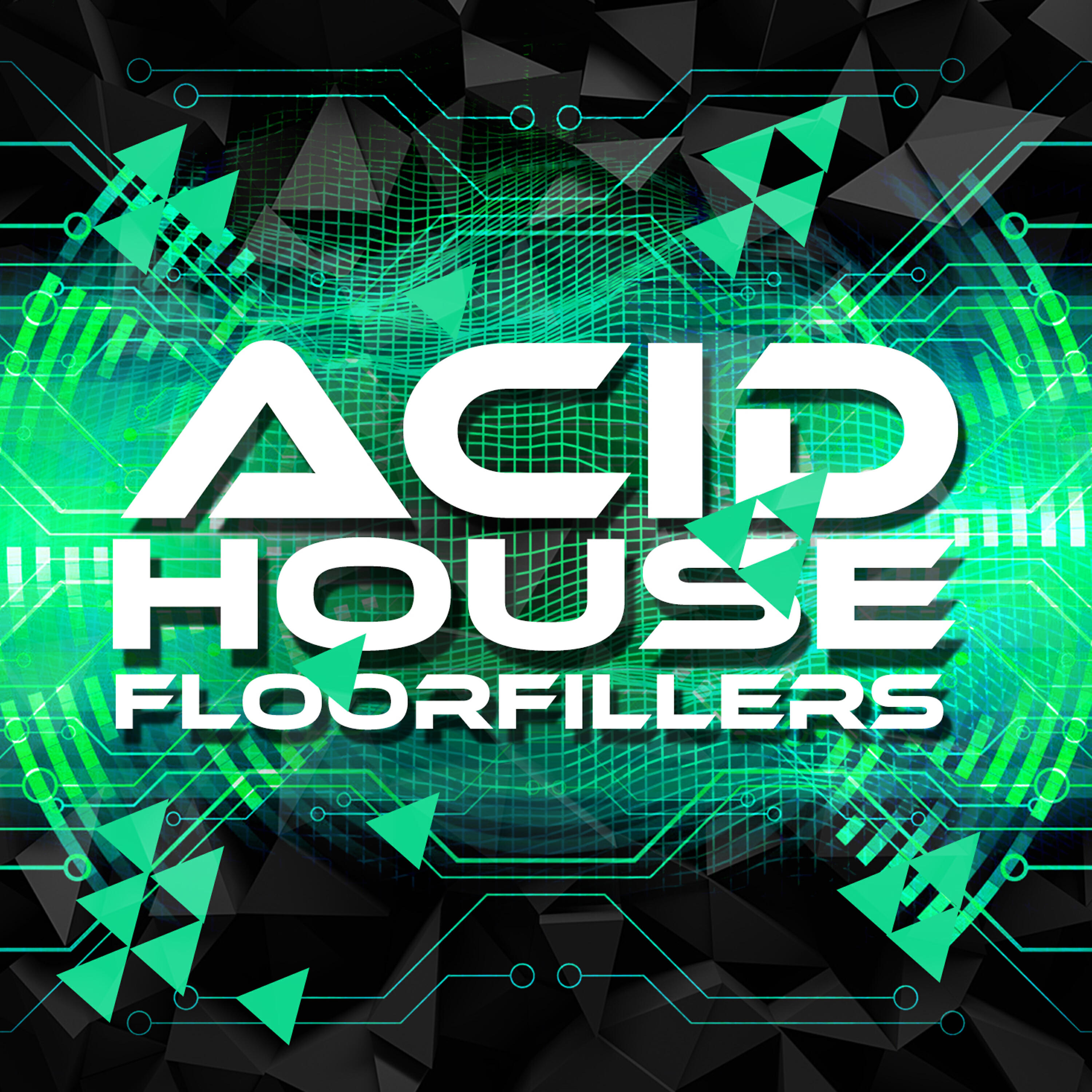 Релиз Acid House Floorfillers