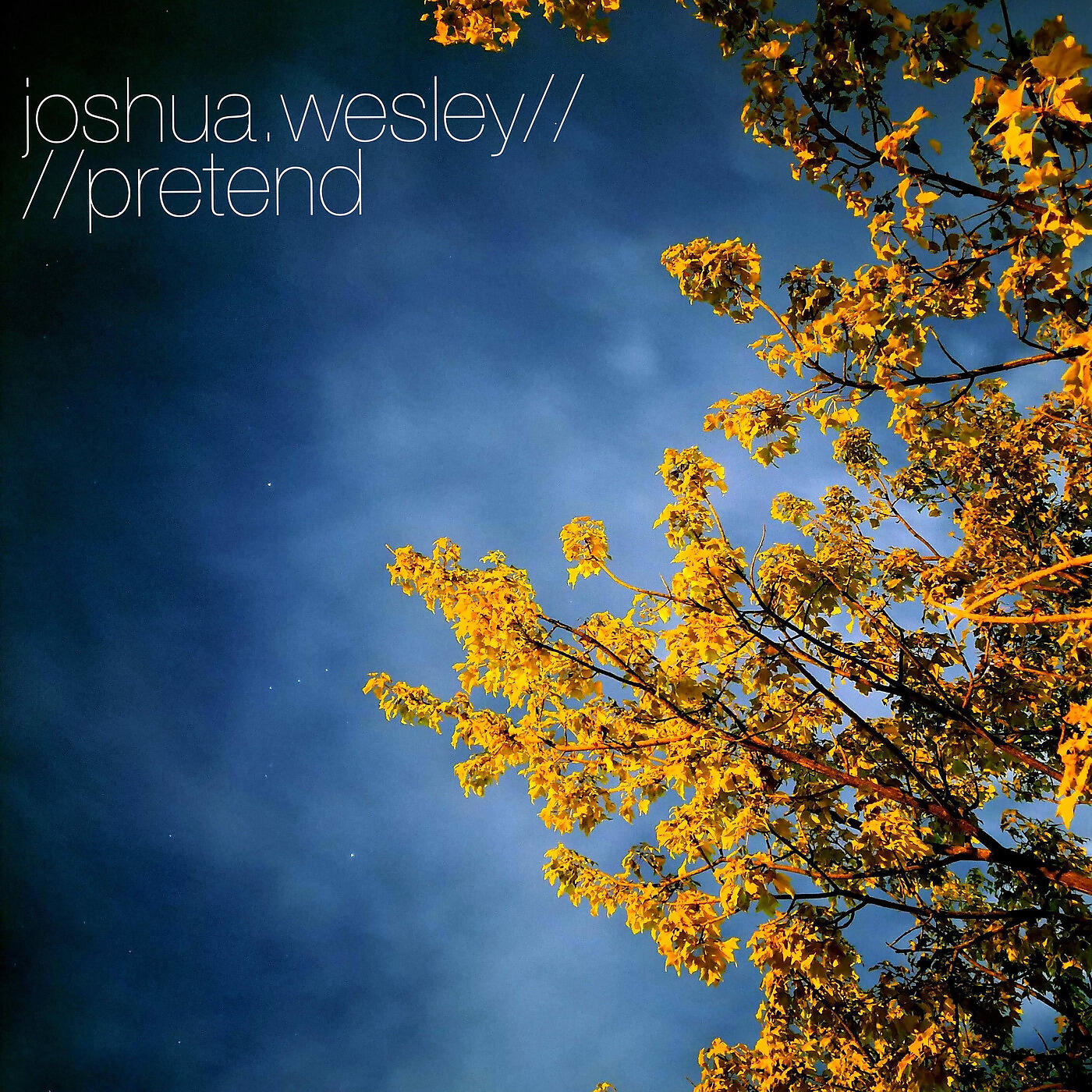 Joshua Wesley