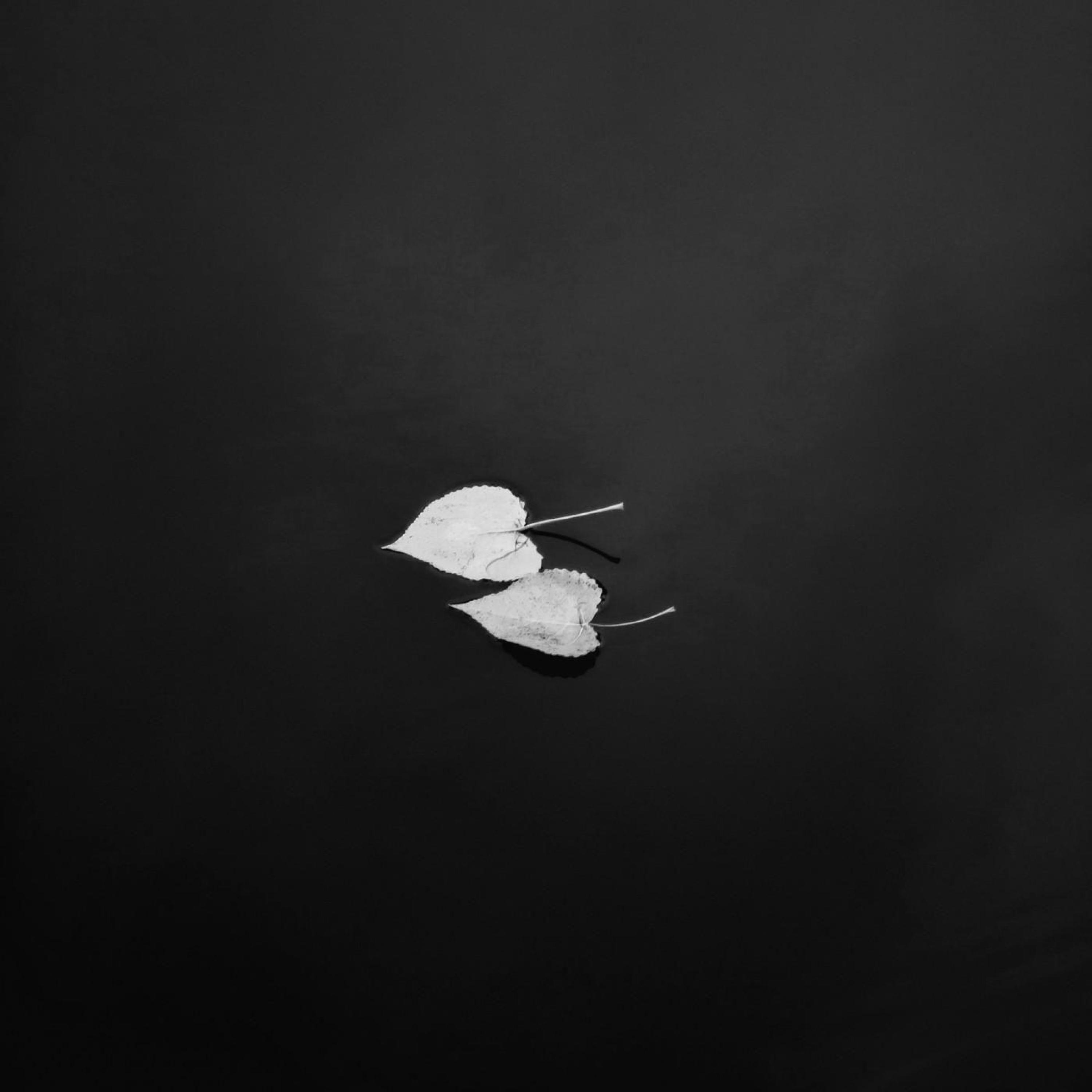 Релиз Under Neath