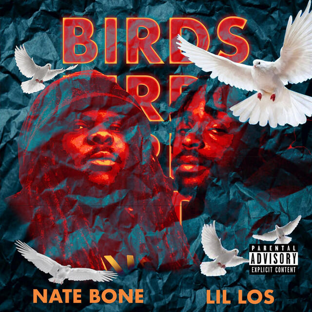 Релиз BIRDS