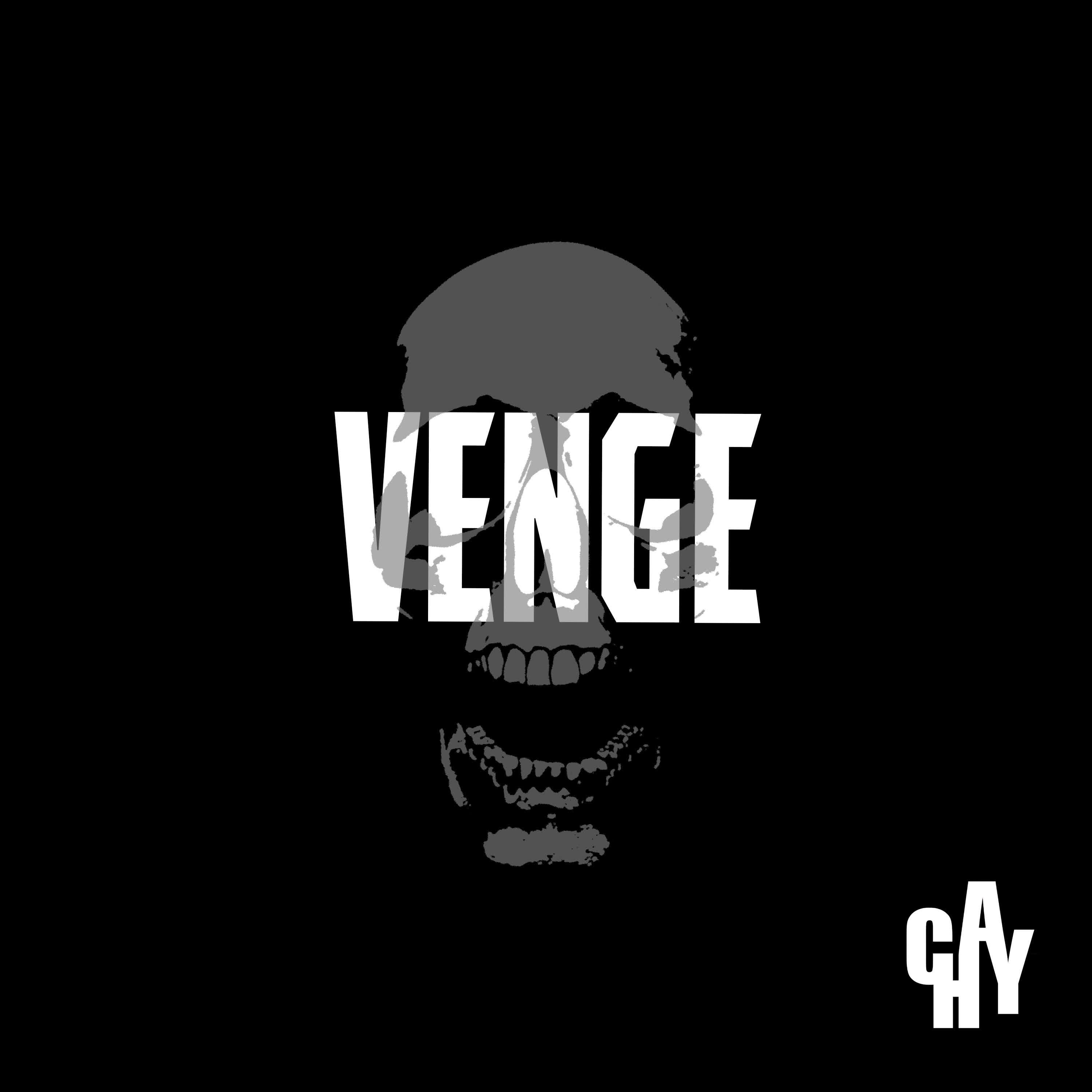 Постер альбома Venge