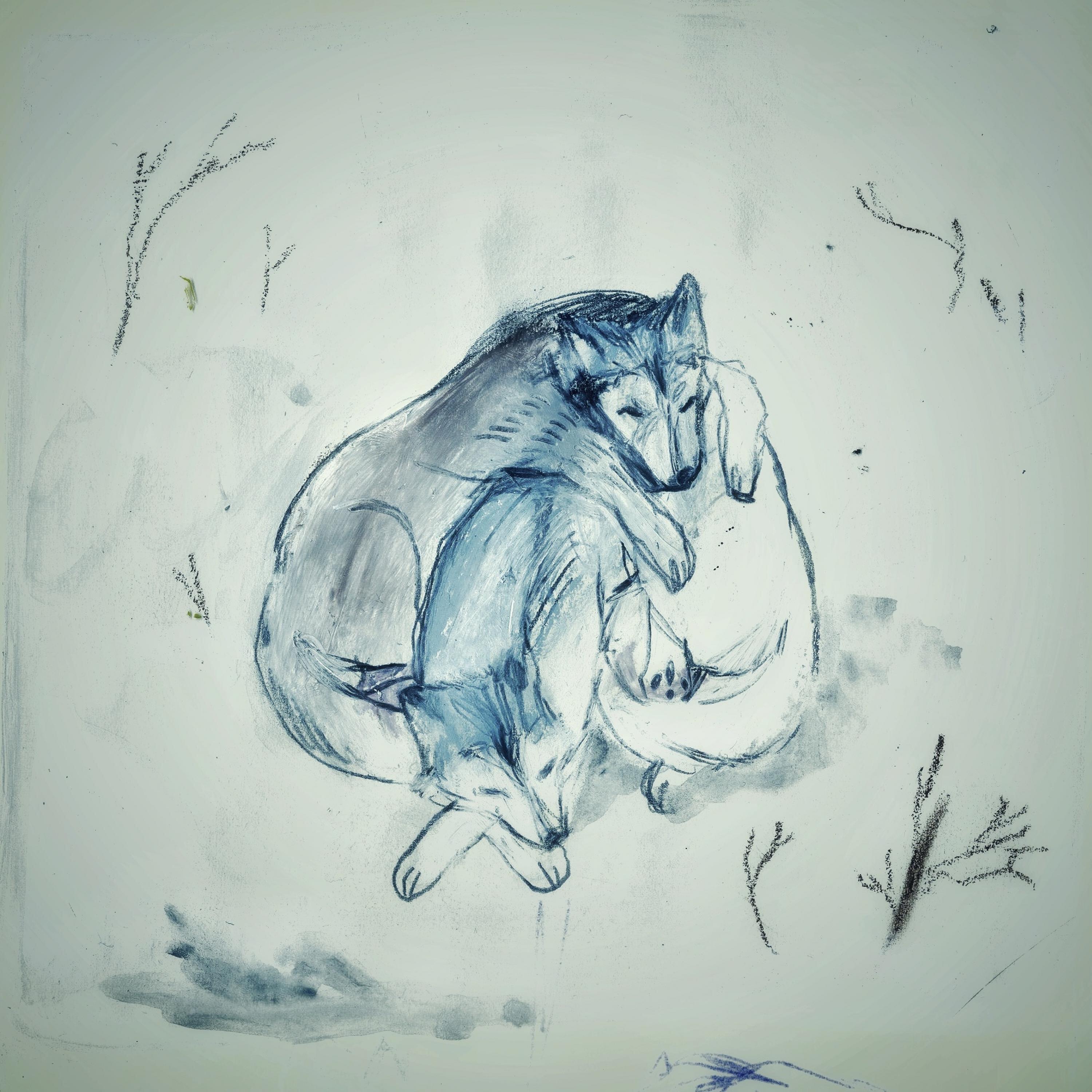 ЖЕСТОКОСТЬ