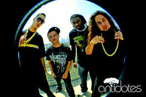 The Antidotes