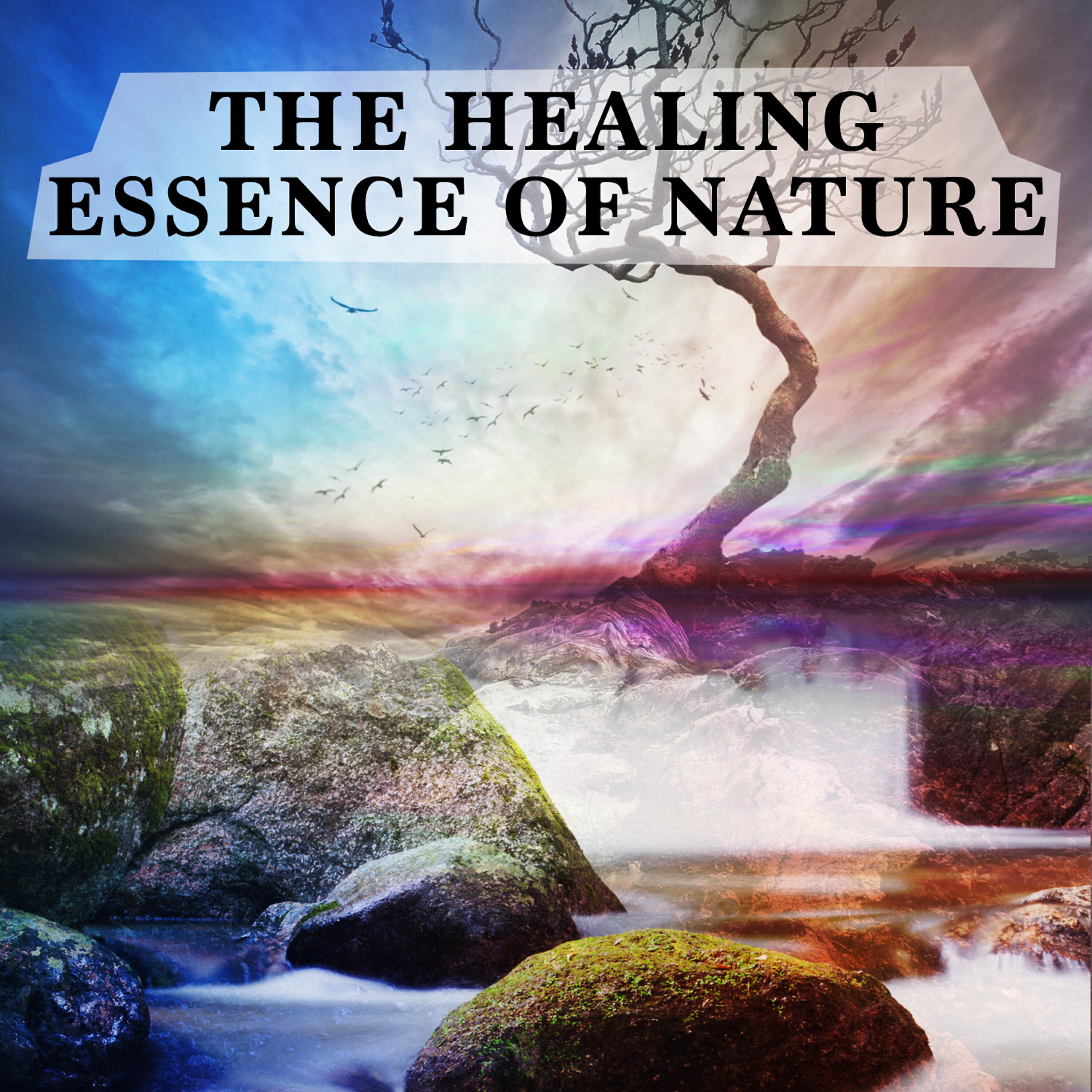Релиз The Healing Essence of Nature