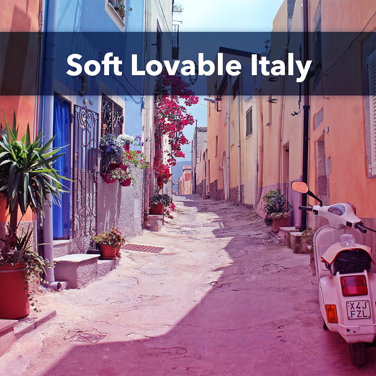 Постер альбома Soft Lovable Italy