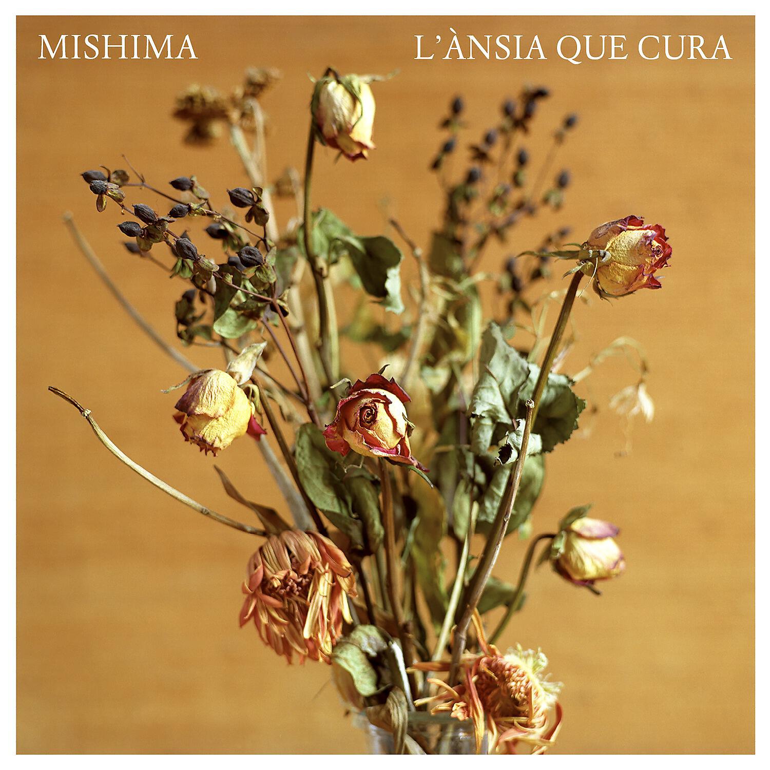 Релиз L'ànsia que cura