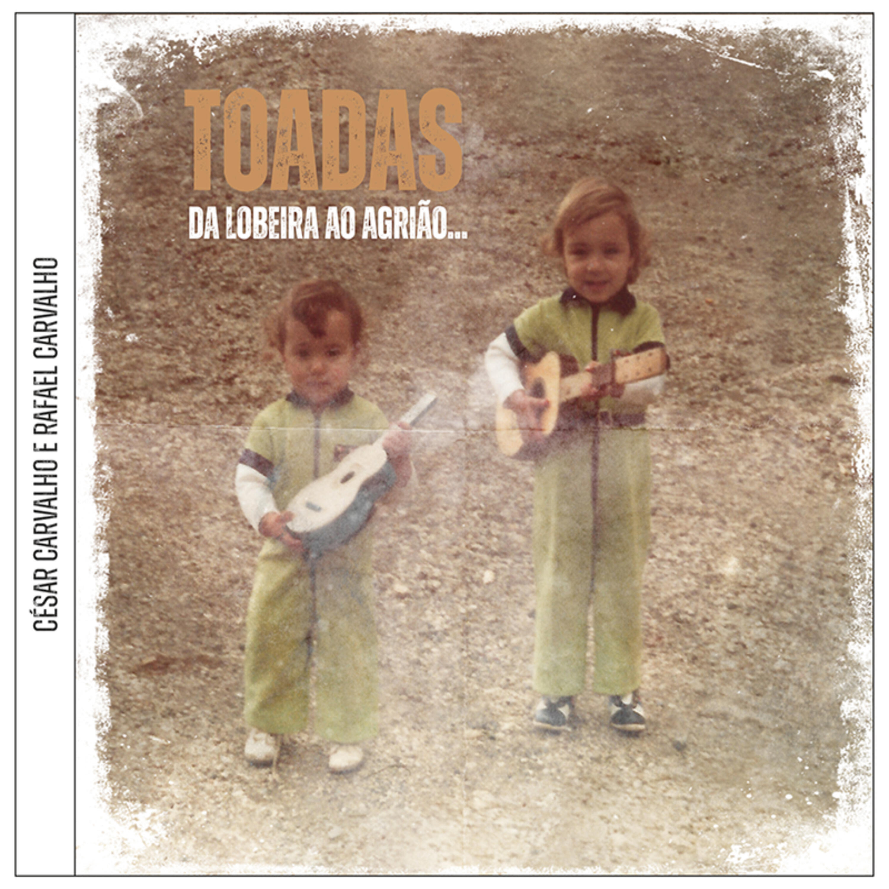 Toadas