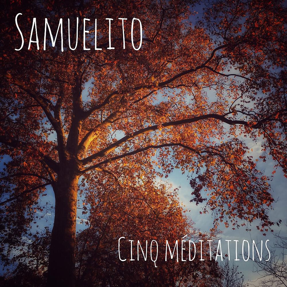 Релиз Cinq méditations