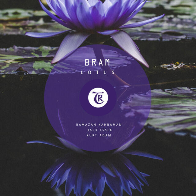 Релиз Lotus