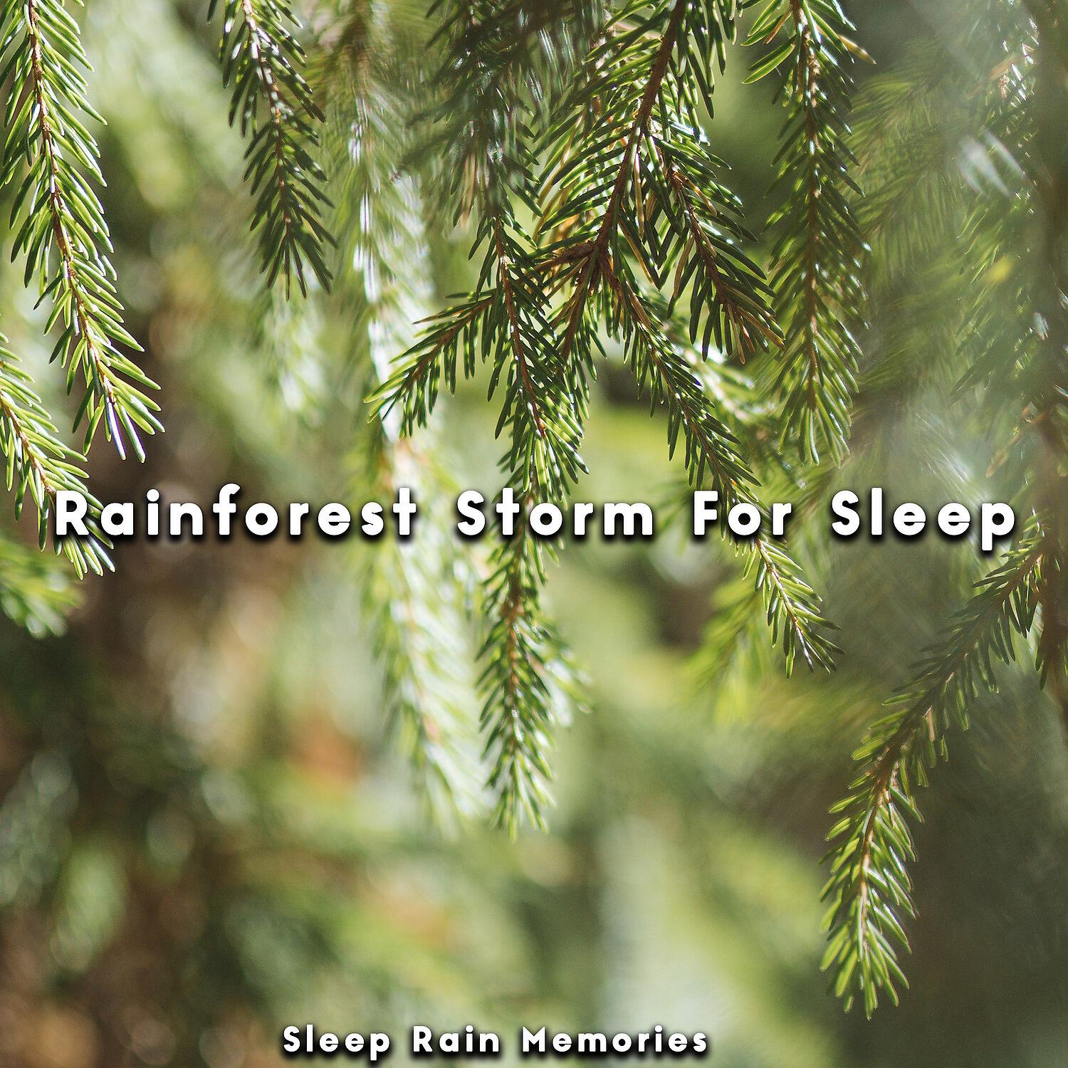 Релиз Rainforest Storm For Sleep