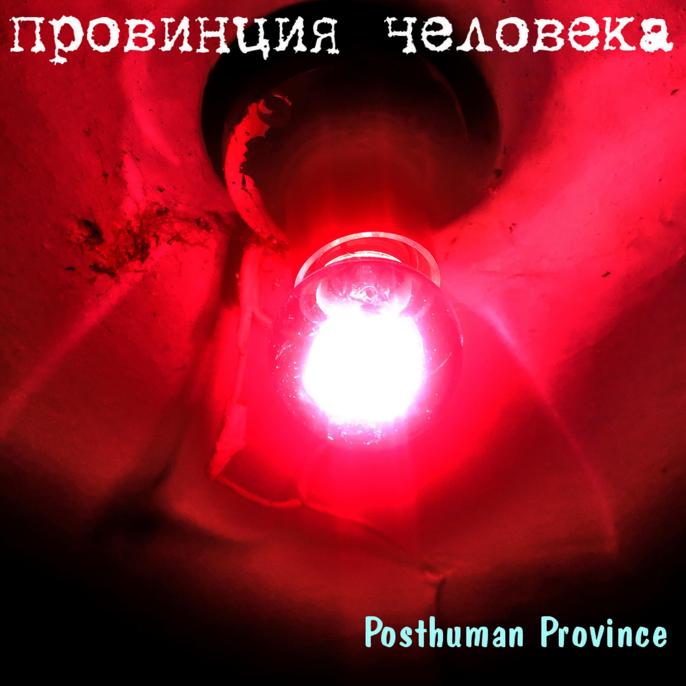 Постер альбома Posthuman Province