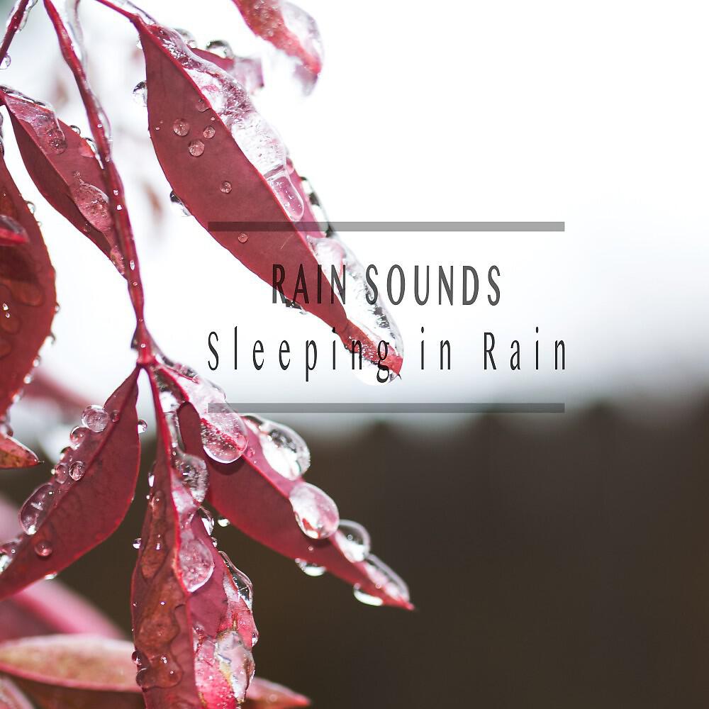 Релиз Sleeping in Rain