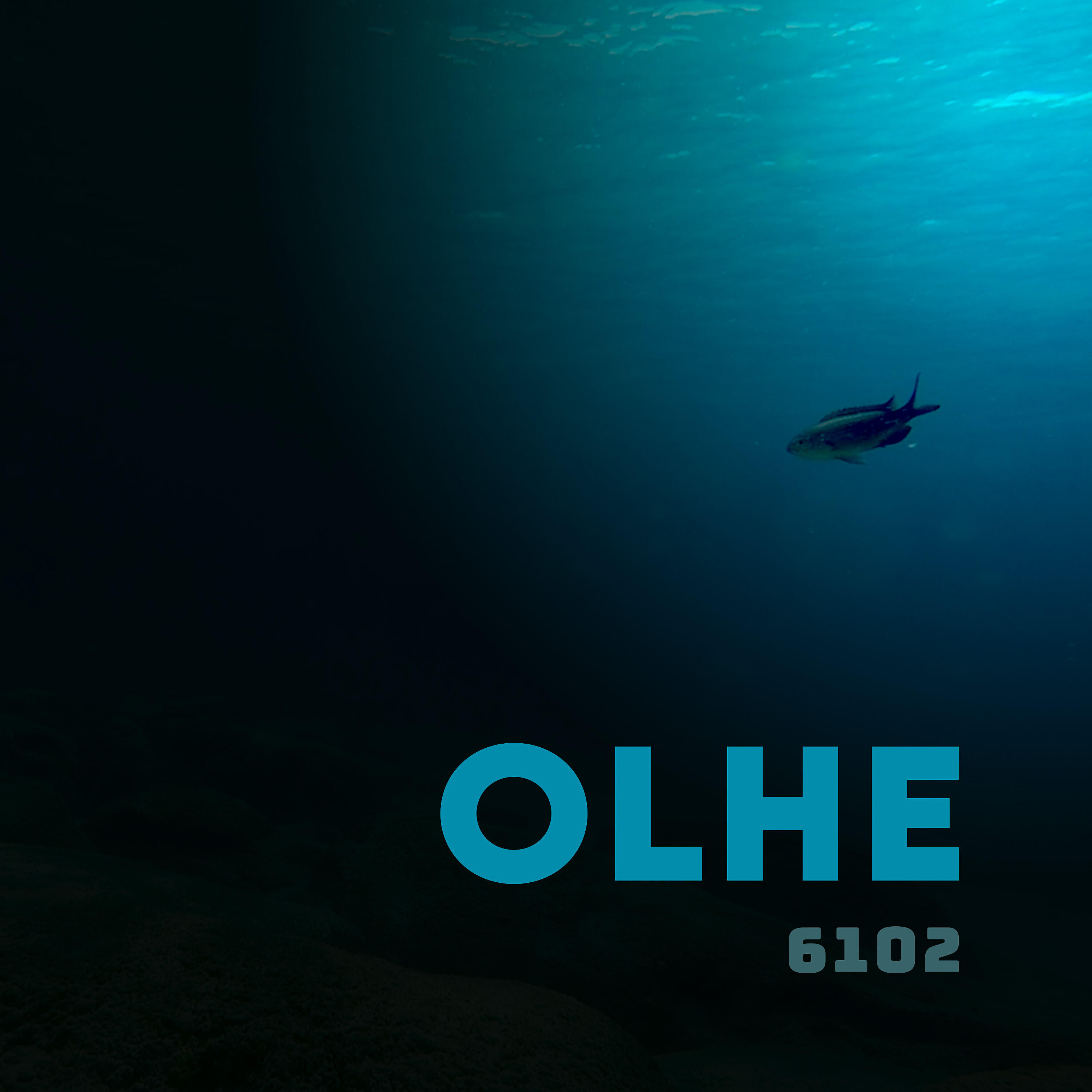 Релиз 6102