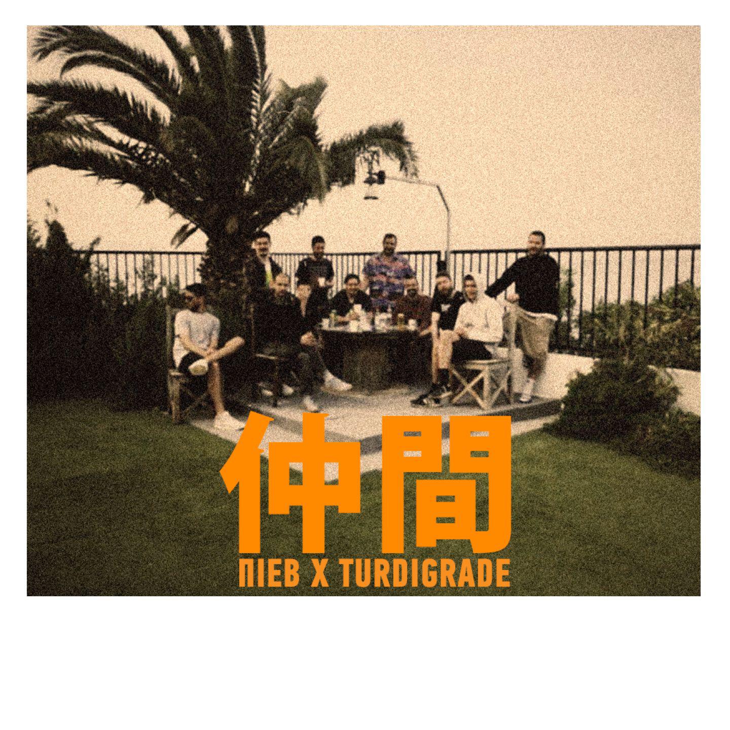 Релиз Nakama