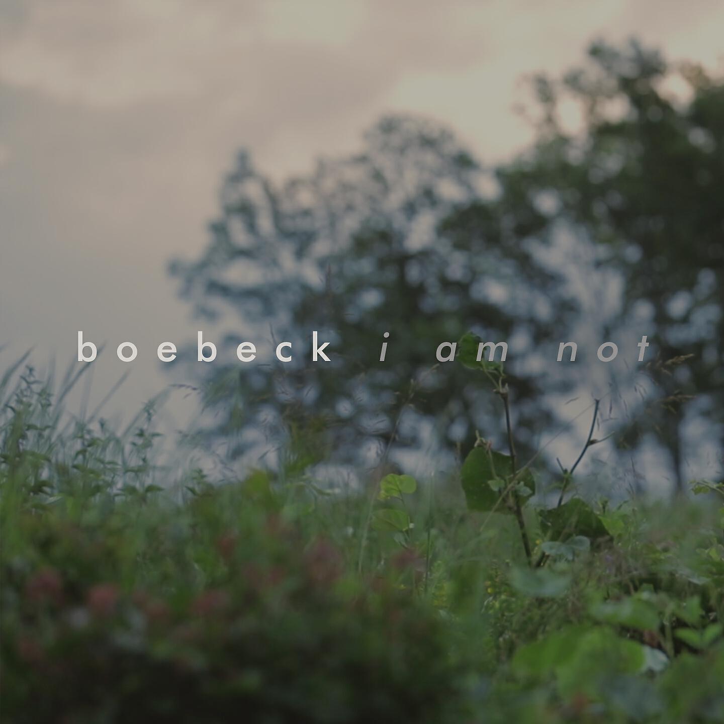 Релиз i am not