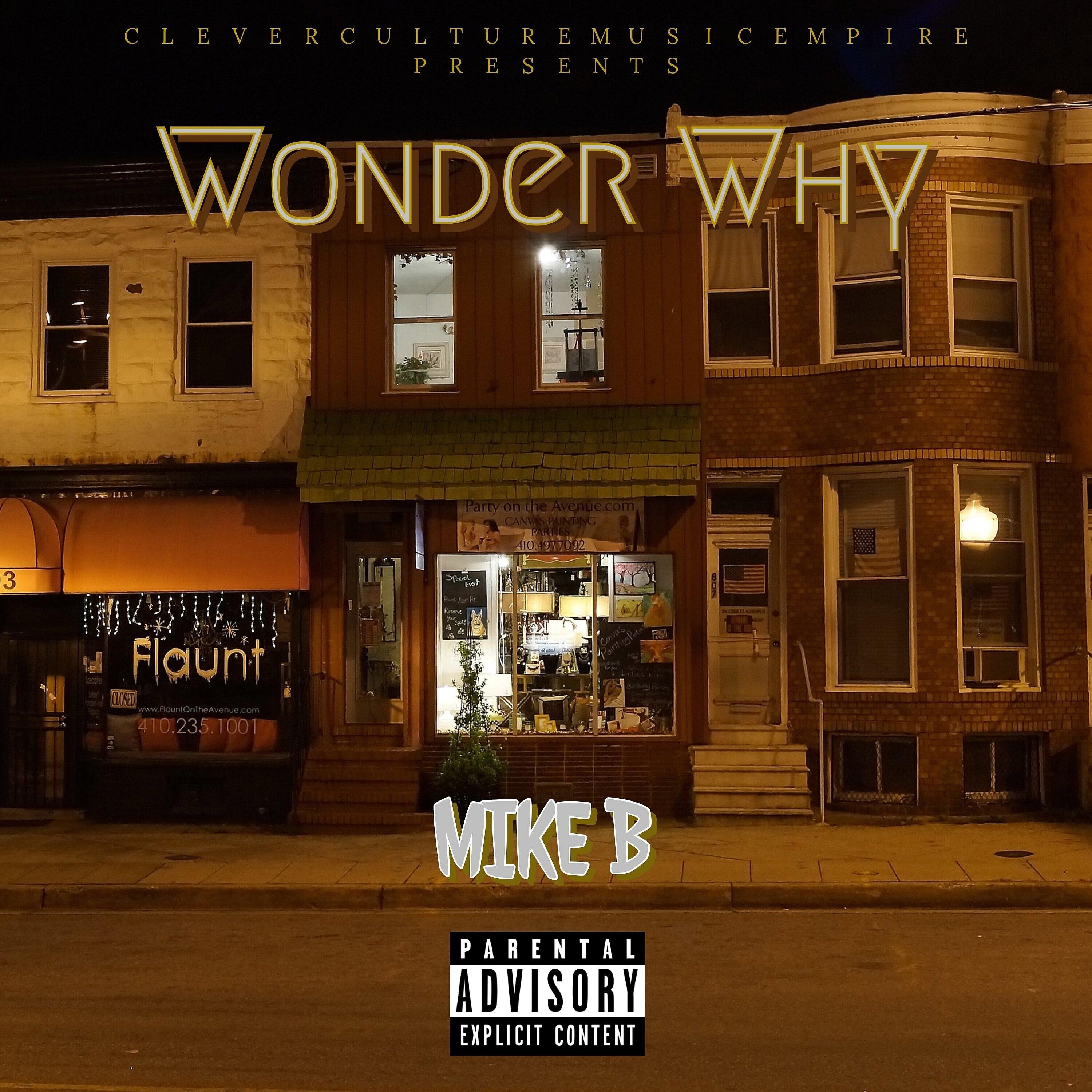 Постер альбома Wonder Why