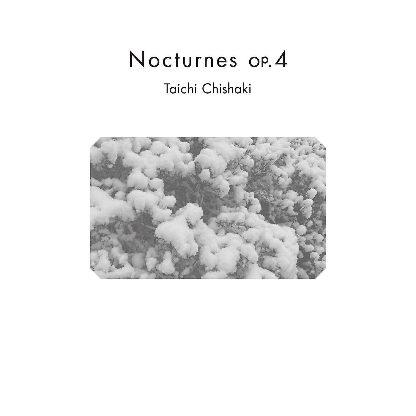 Taichi Chishaki
