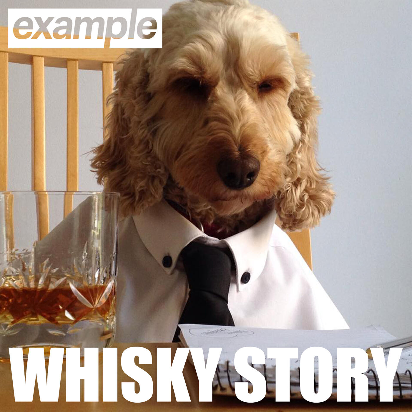 Релиз Whisky Story