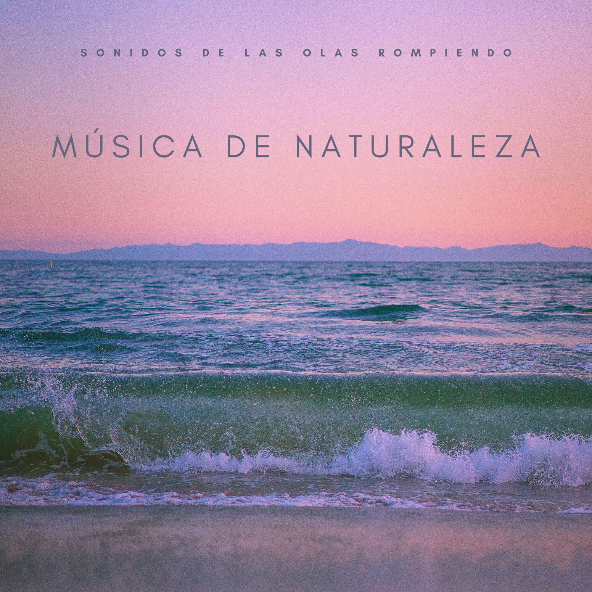 Релиз Música De Naturaleza: Sonidos De Las Olas Rompiendo