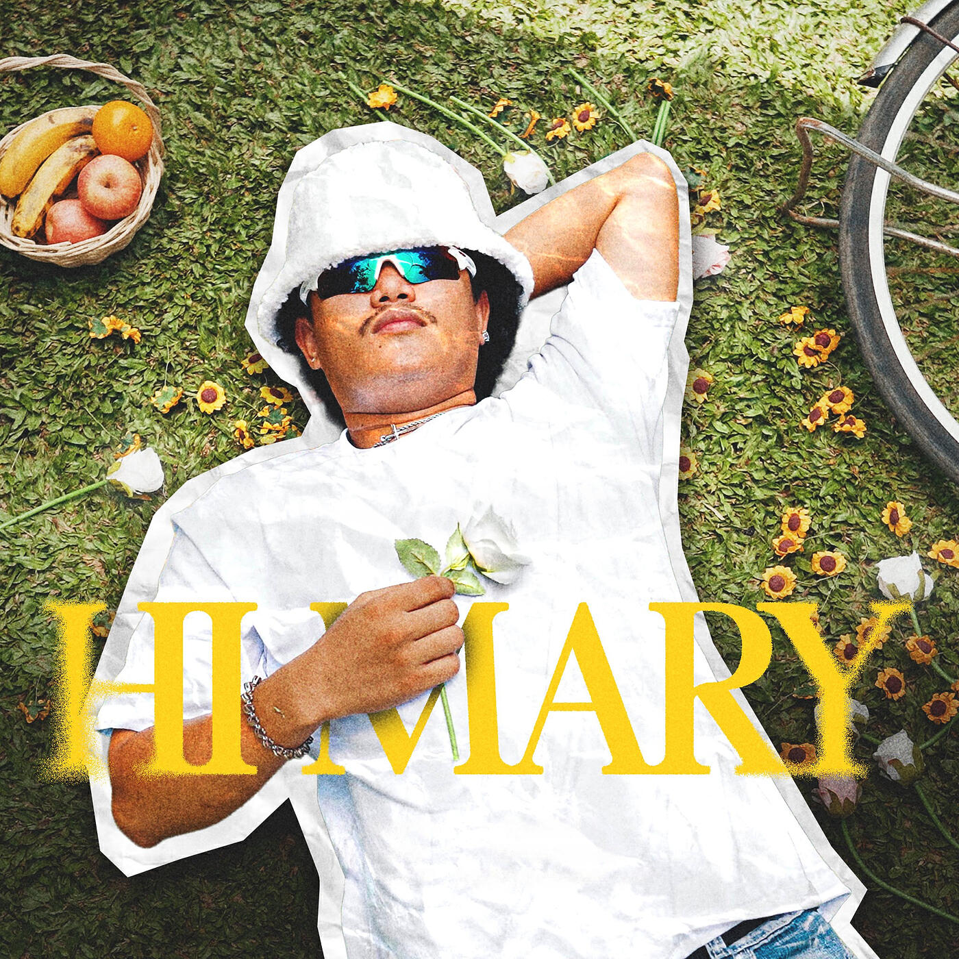 Постер альбома Hi Mary