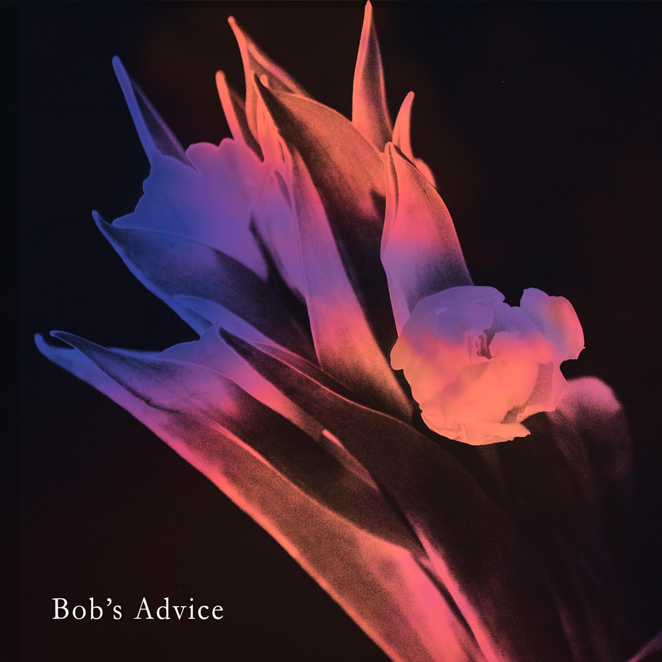 Релиз bob's advice