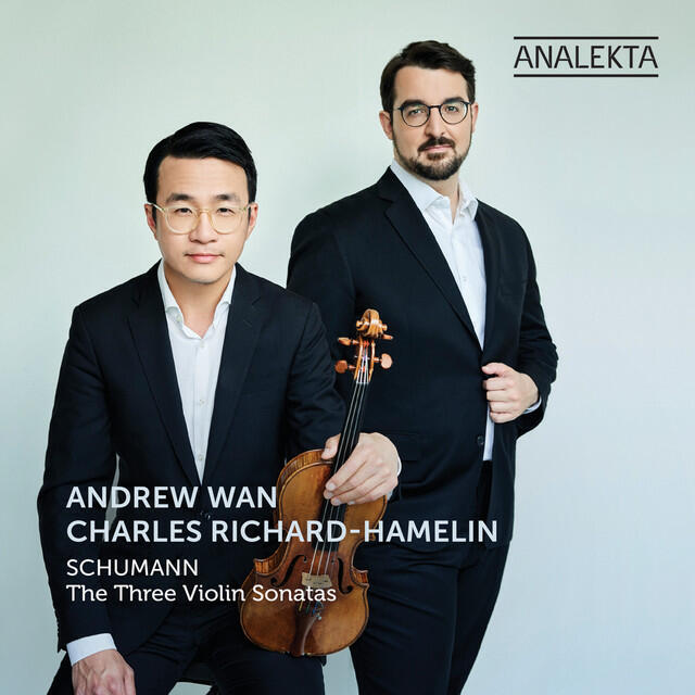 Постер альбома Violin Sonata No. 1 in A Minor, Op. 105: I. Mit leidenschaftlichem ausdruck