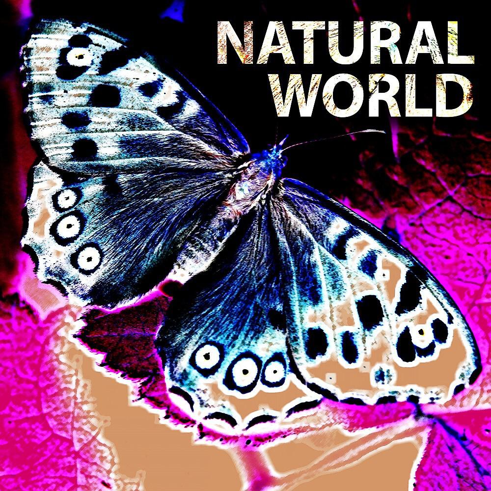 Релиз Natural World