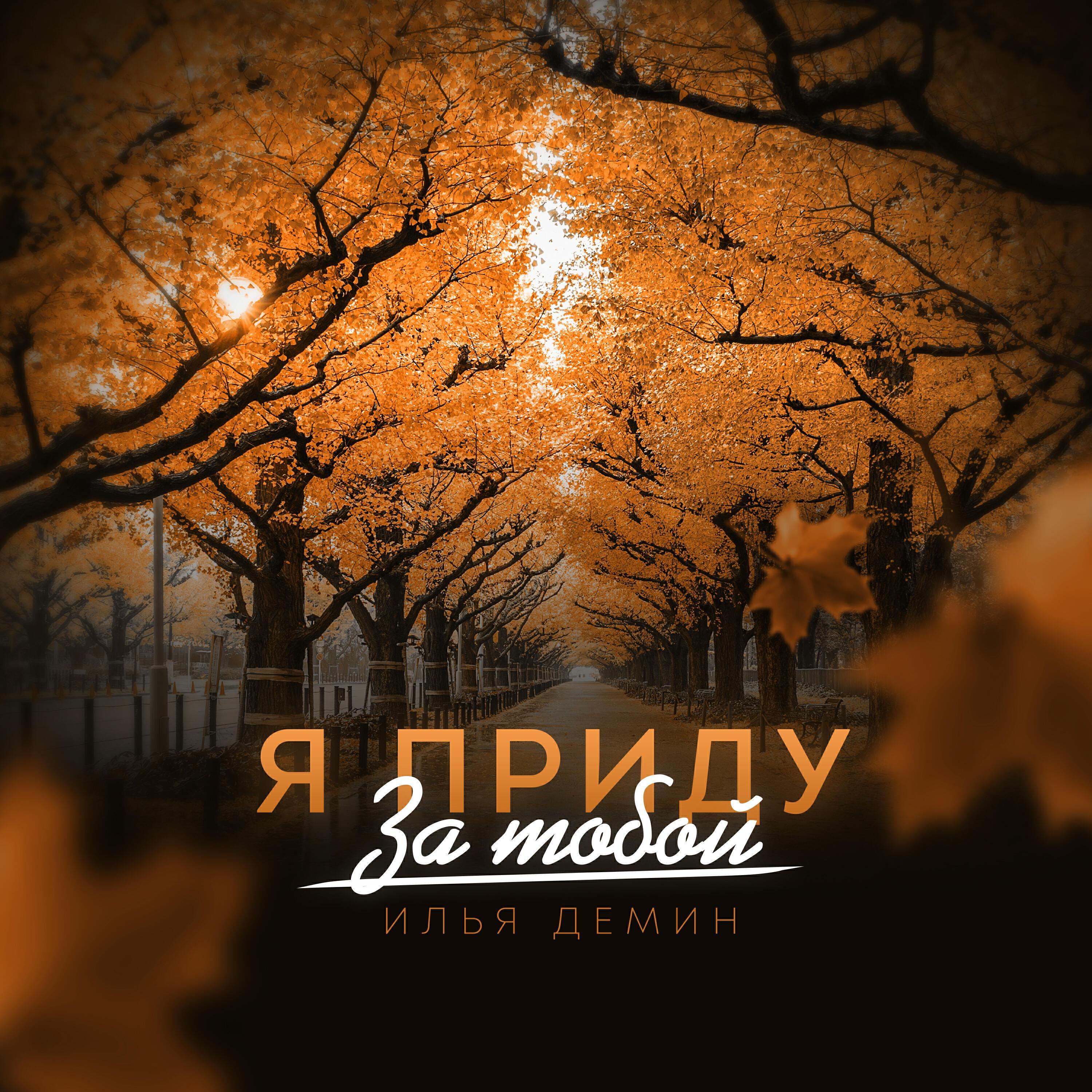 Илья Демин