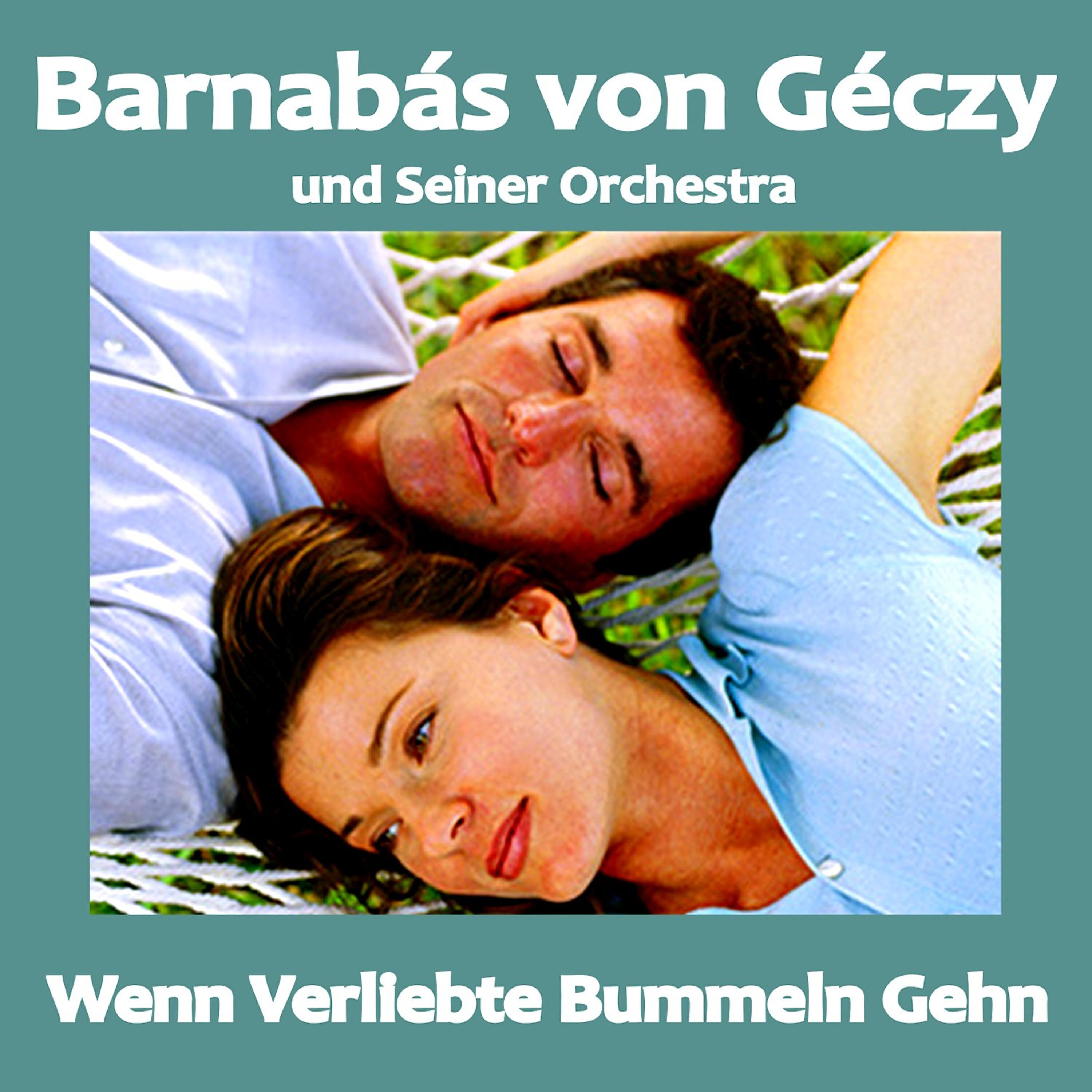 Seiner Orchestra