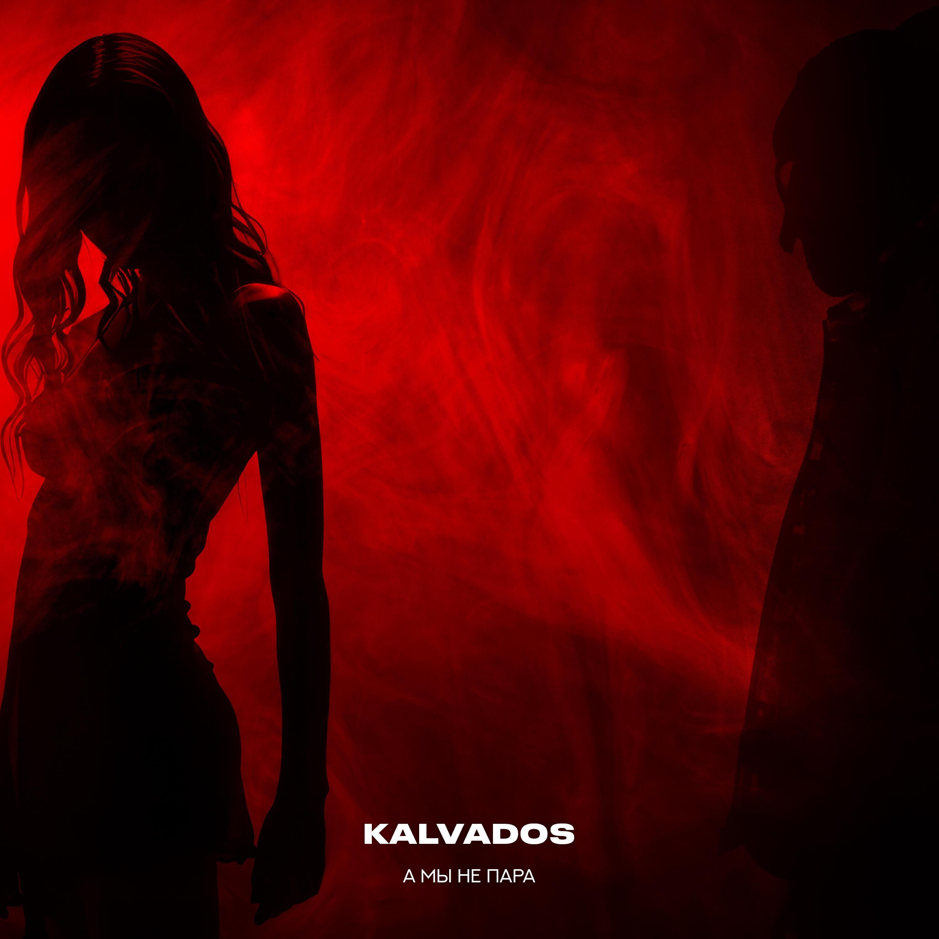 Альбом А мы не пара (макси-сингл) исполнителя KALVADOS