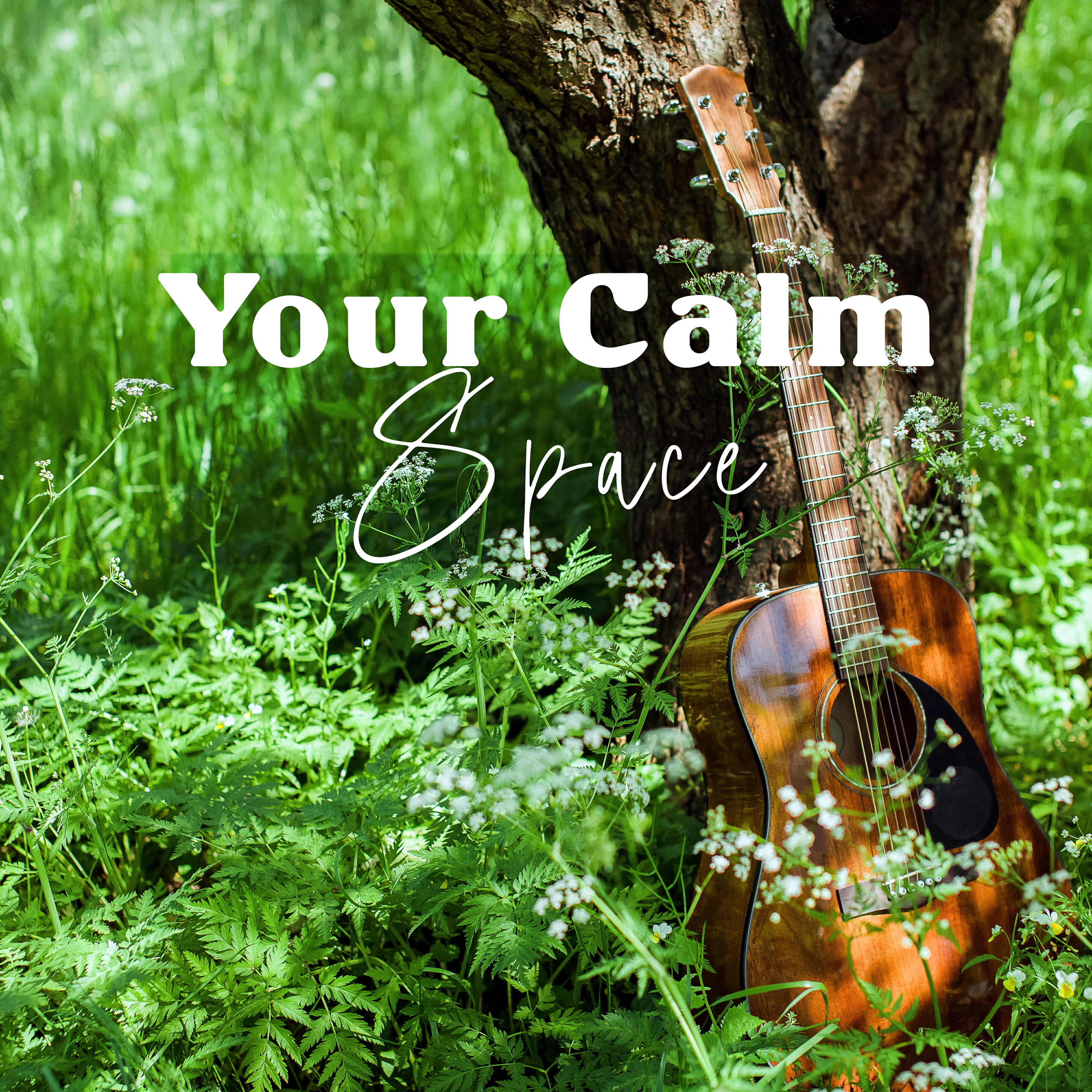 Релиз Your Calm Space: Unwind and Relax with Gentle New Age Guitar and Nature